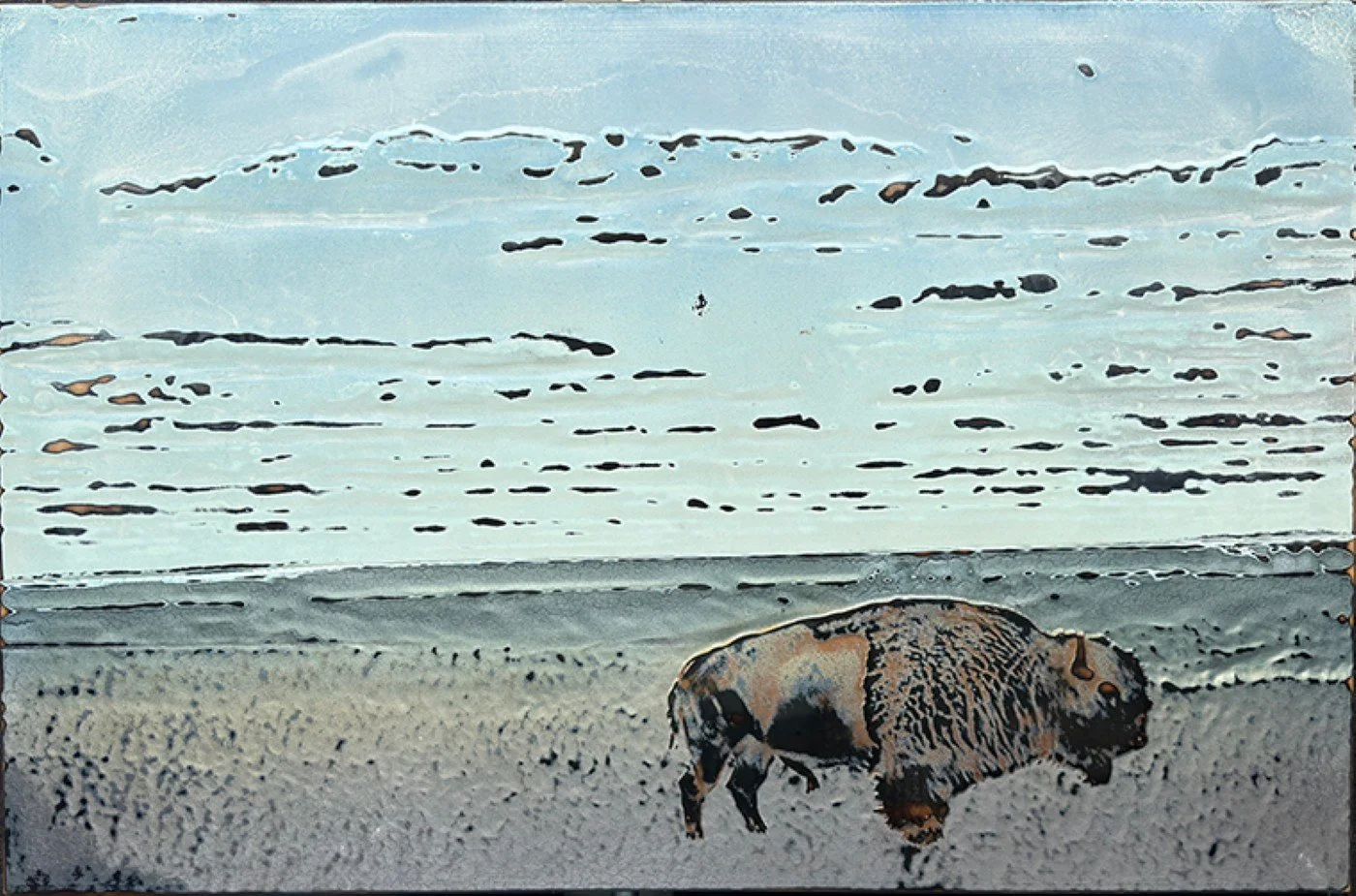 buffalo_40x60_.jpg