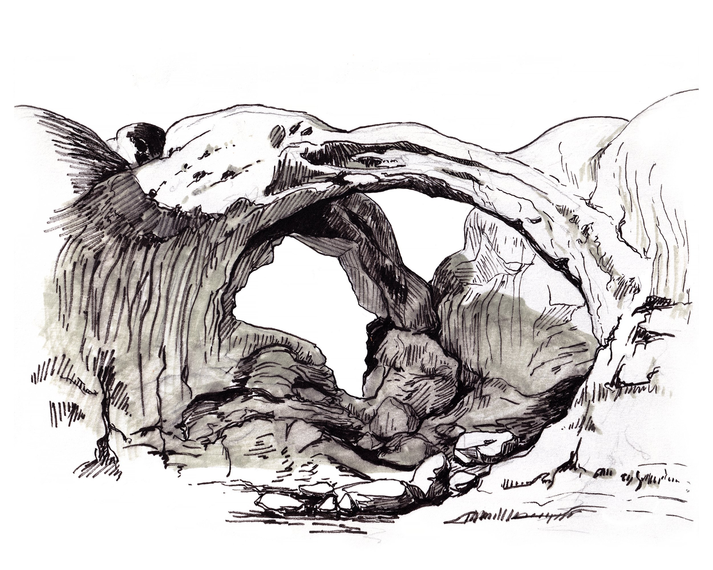 Erica Hample Art