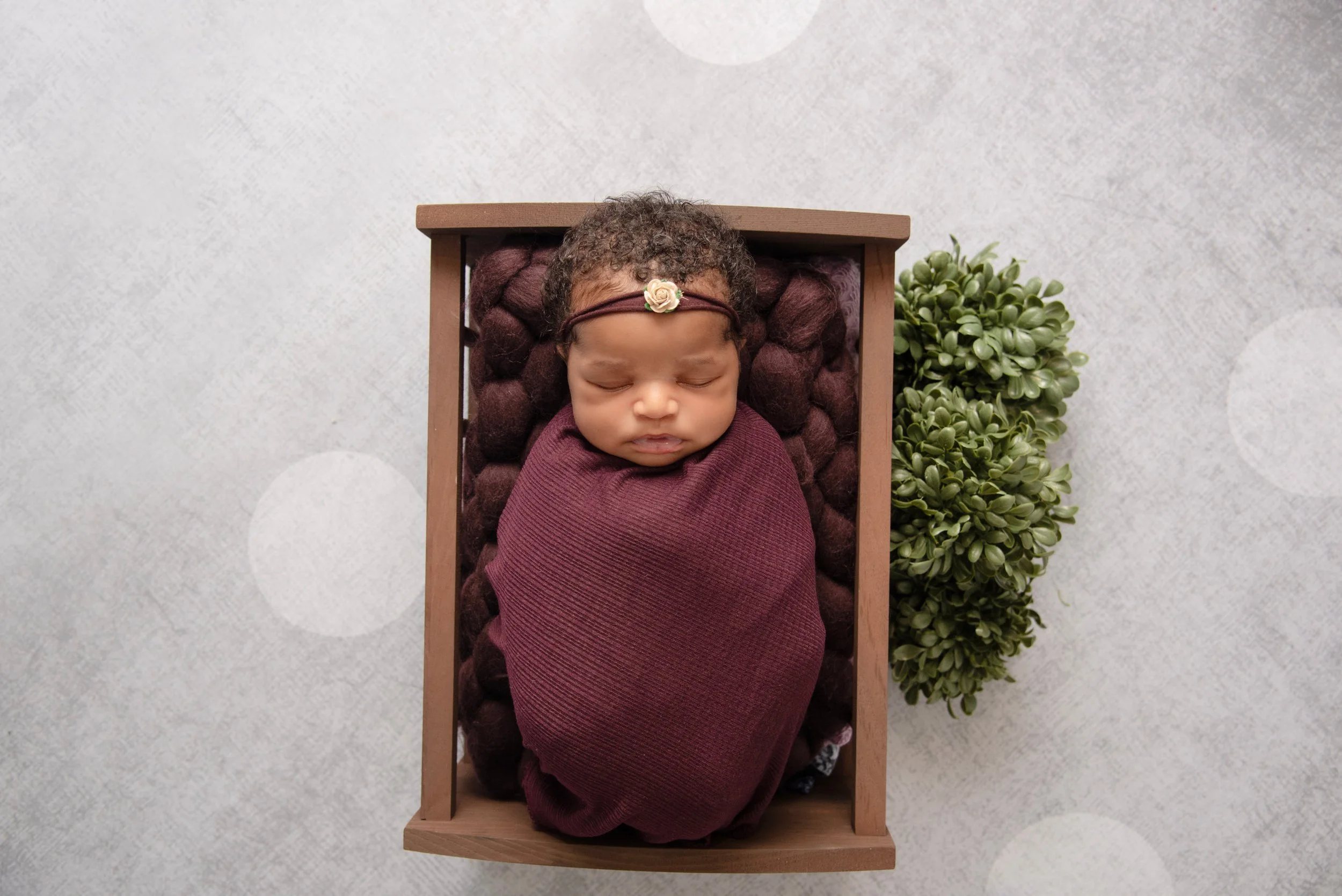 A sleeping baby wrapped in a maroon blanket, lying on a textured maroon cushion inside a small wooden bed, with a green plant beside the bed, on a light gray polka dot background.