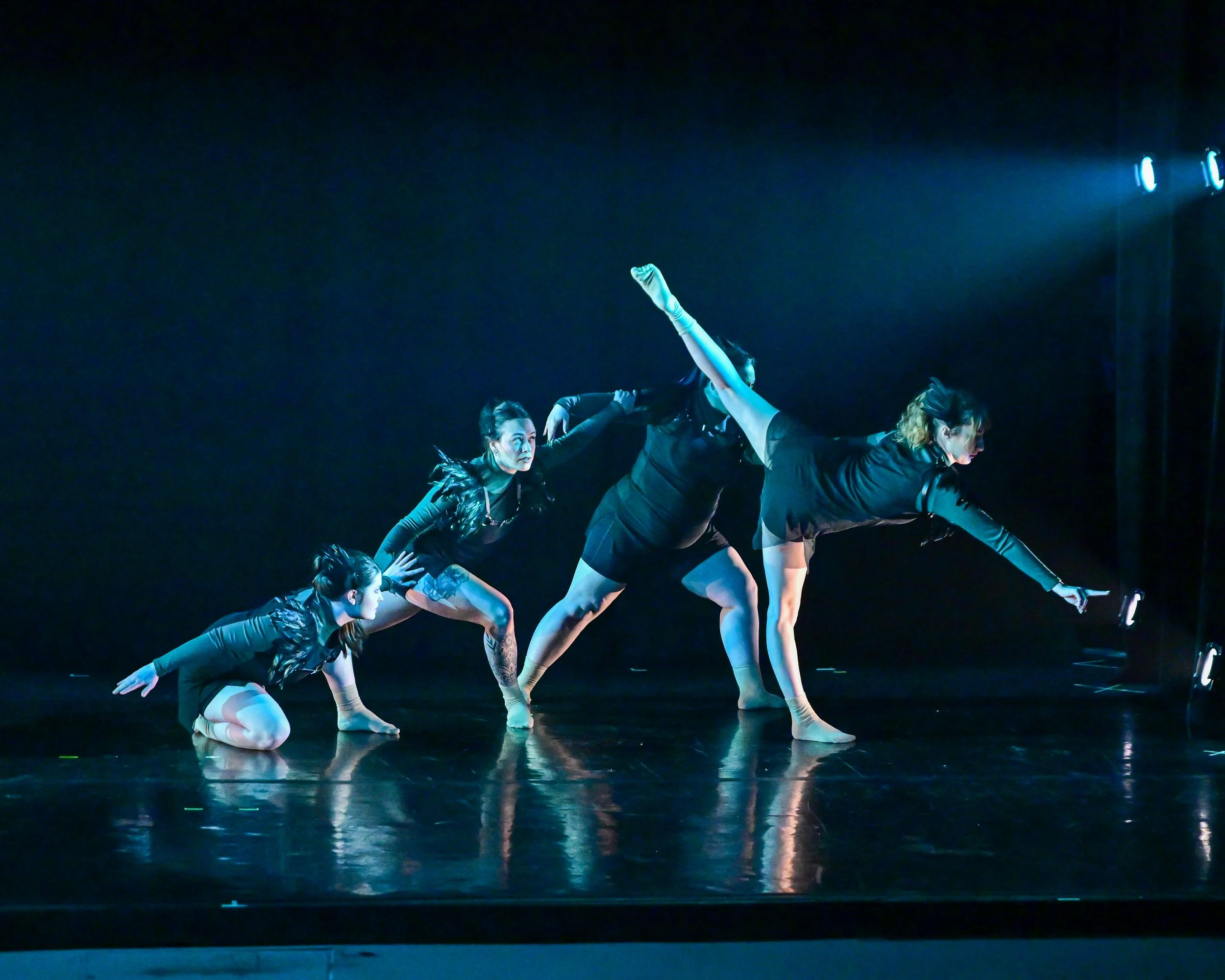 2025 © Siglerphotographics