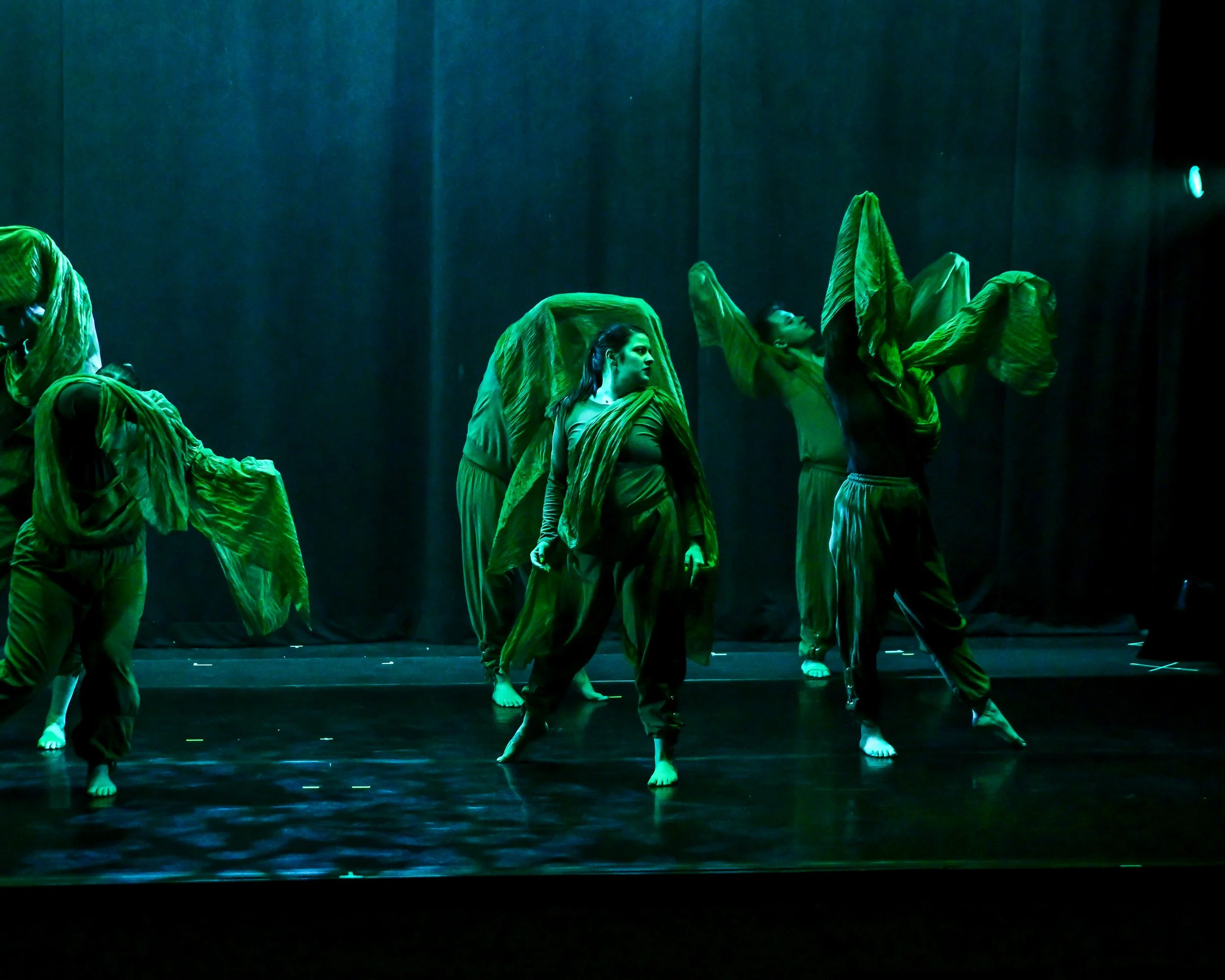 2025 © Siglerphotographics