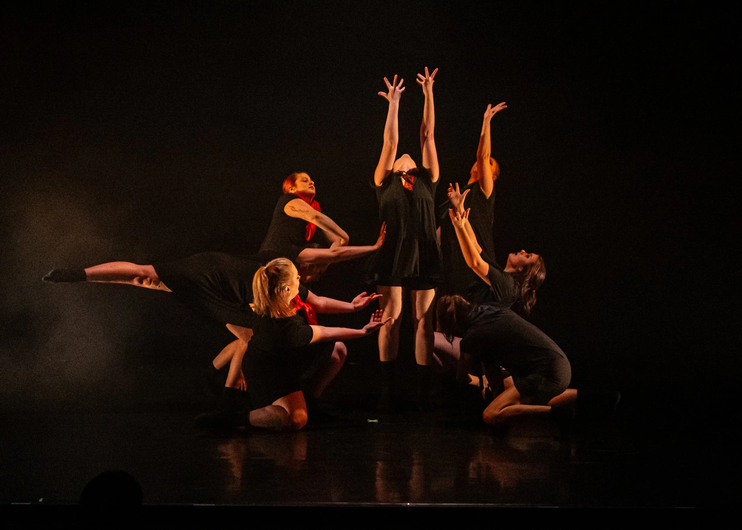 2024 © Siglerphotographics