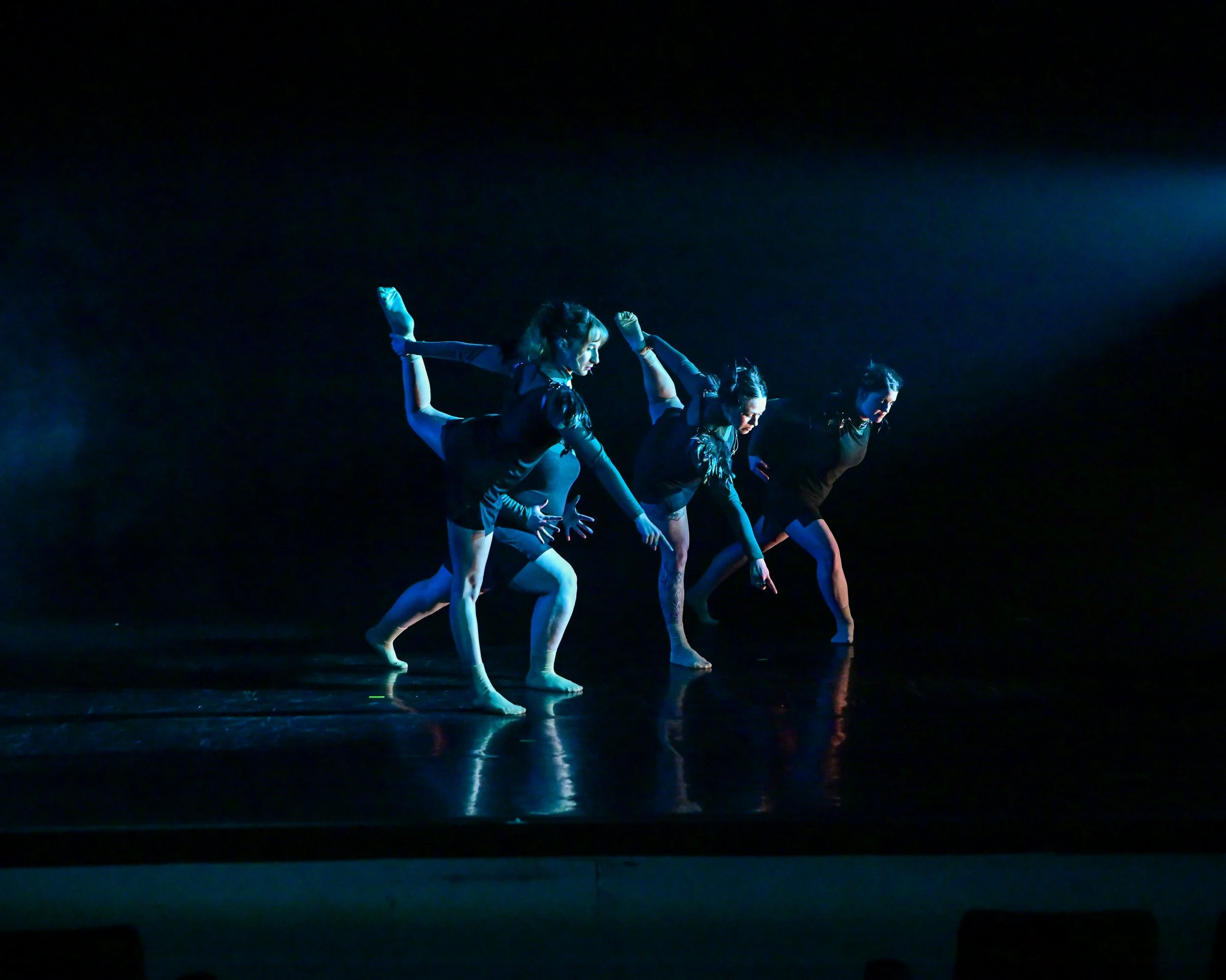 2025 © Siglerphotographics