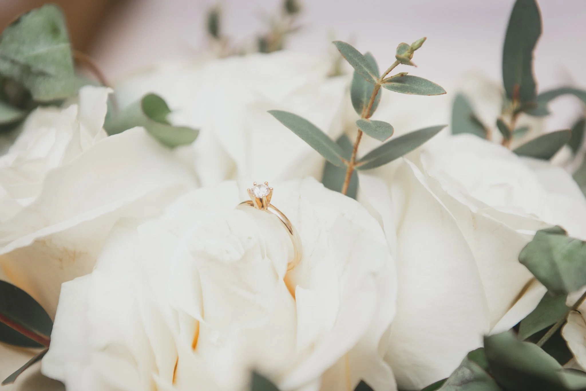 Anillo de compromiso dorado con piedra brillante, colocado sobre una rosa blanca y hojas verdes.