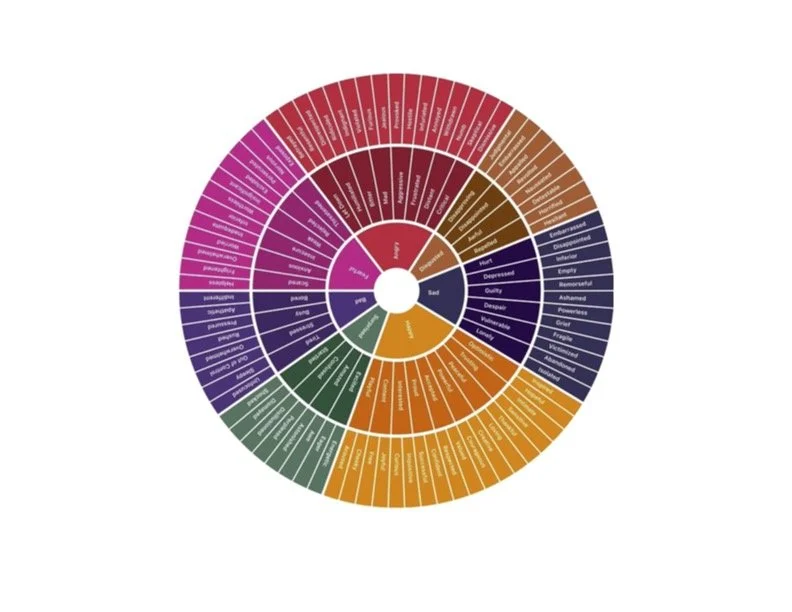 Why I Love the Feelings Wheel 
