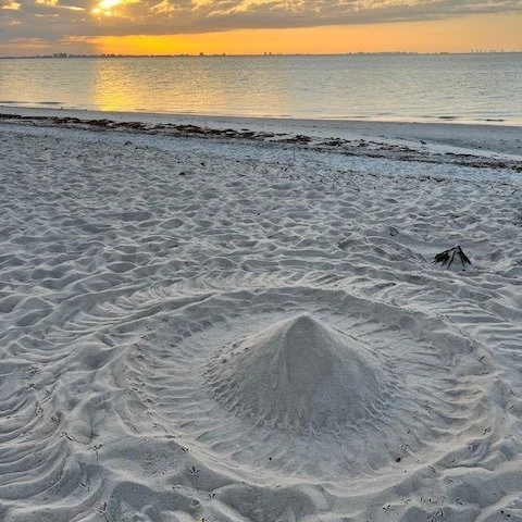 🧐The biggest myth about HOME DREAMS???

That they're out of reach...

Many people are closer than they realize!!👏

The first step is simply understanding:
&bull; your buying power
&bull; the market
&bull; your timeline

Once you know those things, 