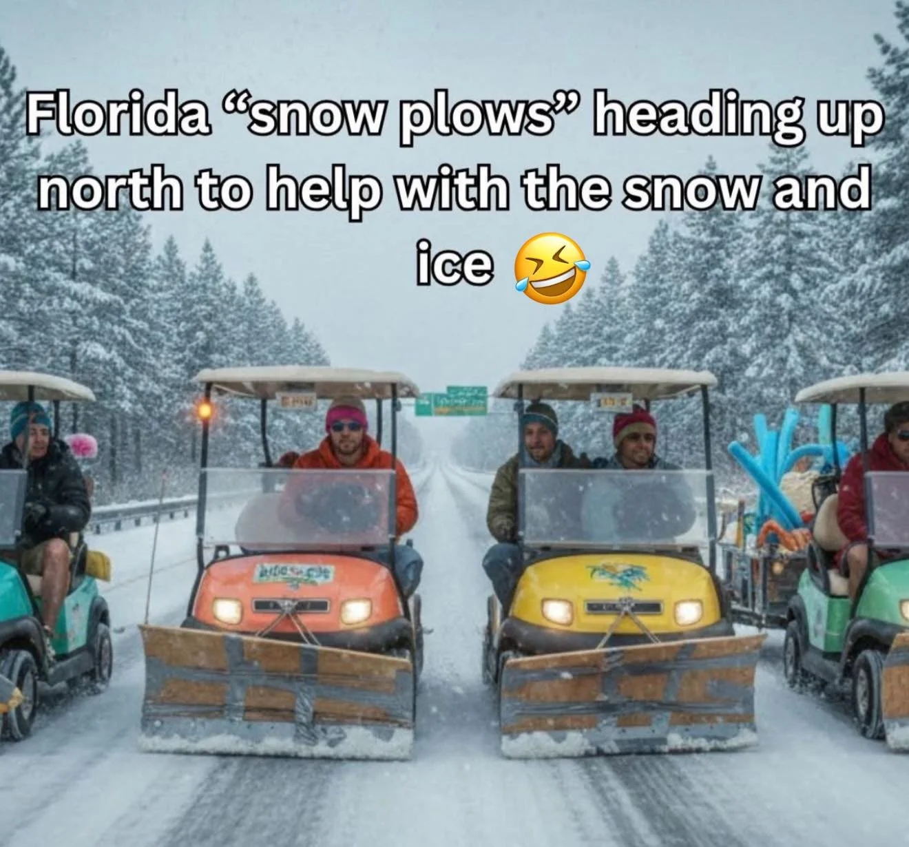 🌴Florida lovers, too funny! 😂