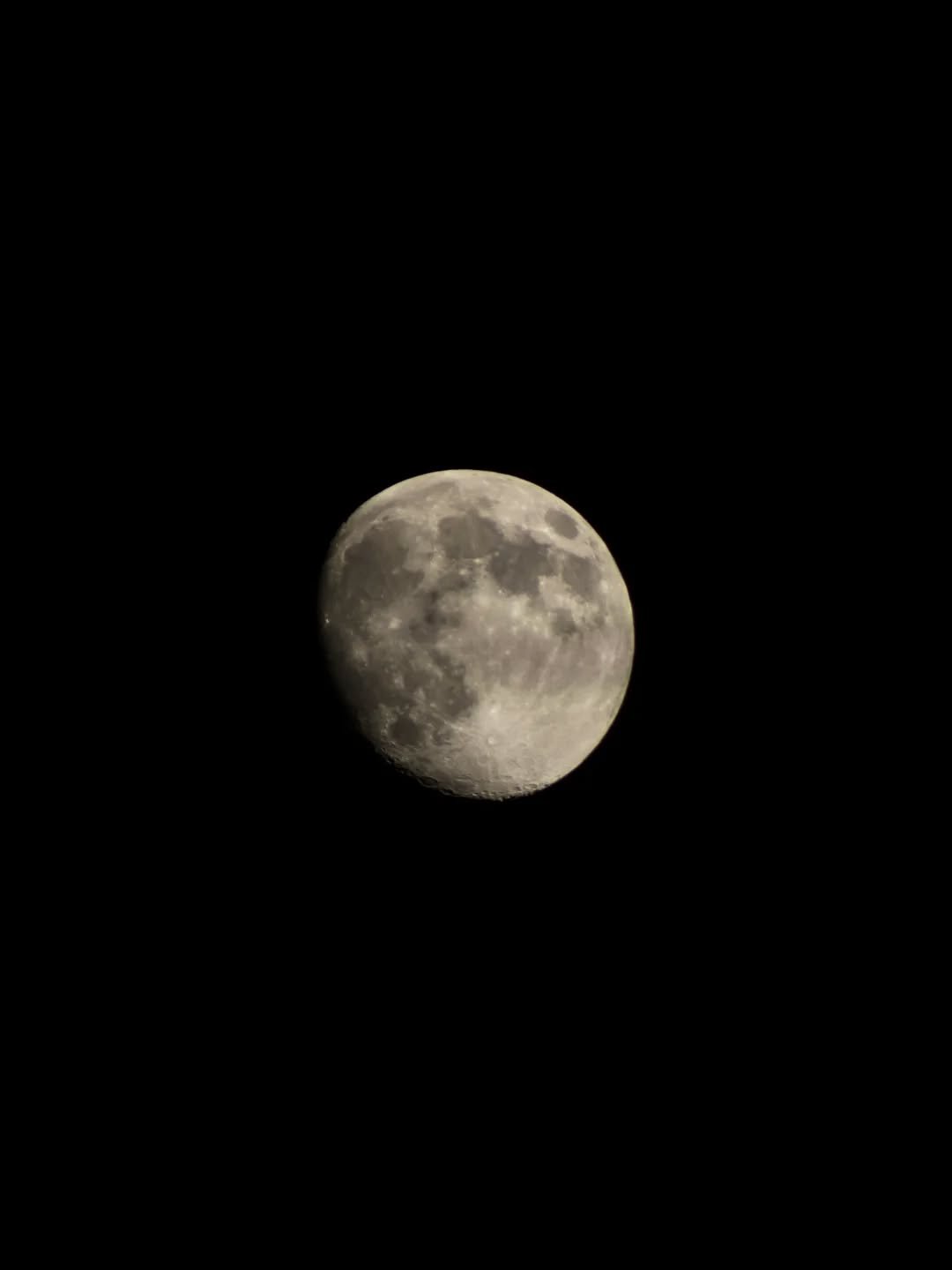 fly me to the moon🌔

#moonphotography #nature #canonphotography