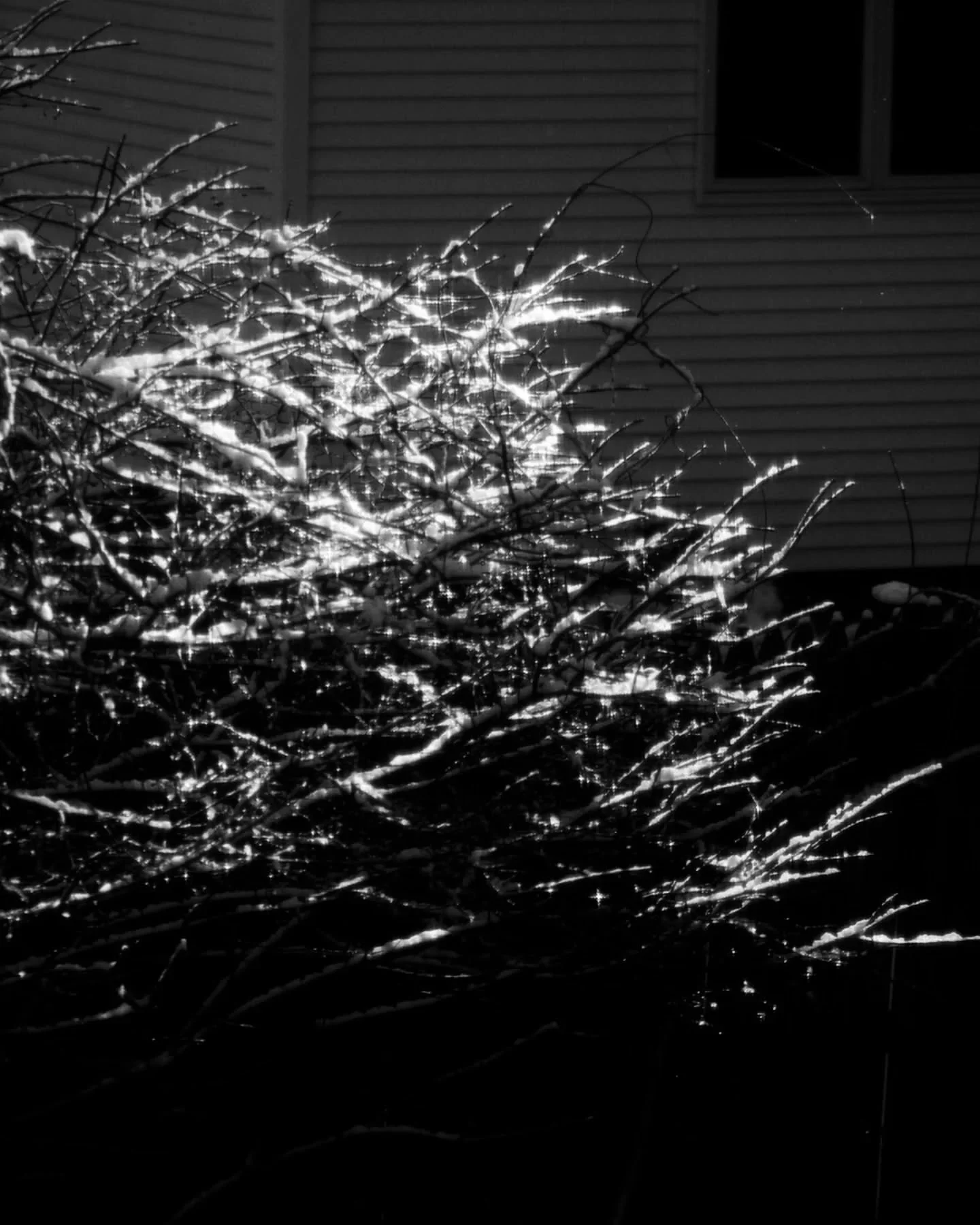 after the snow - part 3

This winter was beautiful and I took photographs that are definitely in my favorite capture list🙂&zwj;↕️ But, I am ready for sun and flowers!

Are you ready for spring?🌷🌱🐝

#photography
#snow #blackandwhitephotography #ma