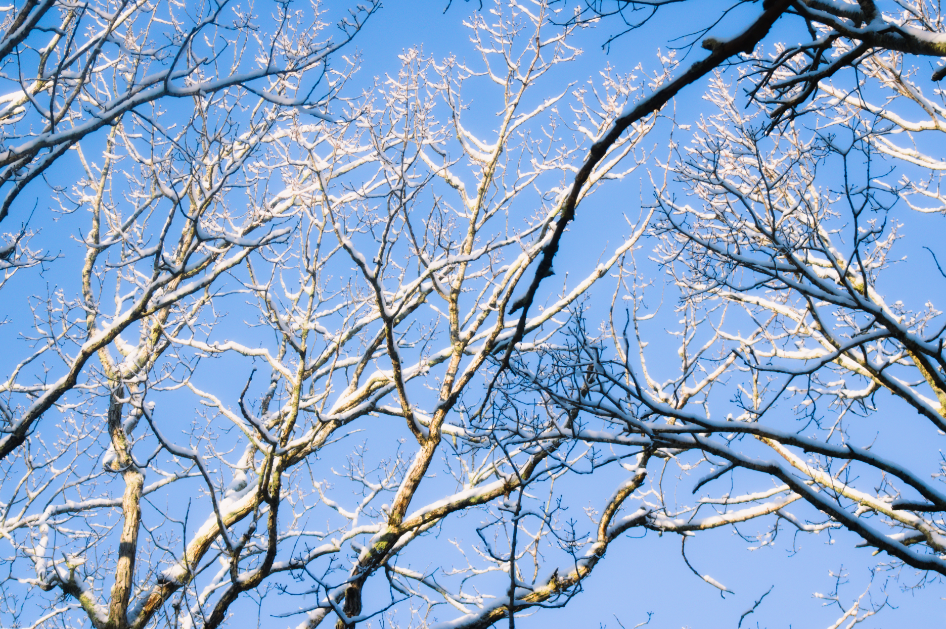 Screenshot 2026-02-16 172859.png