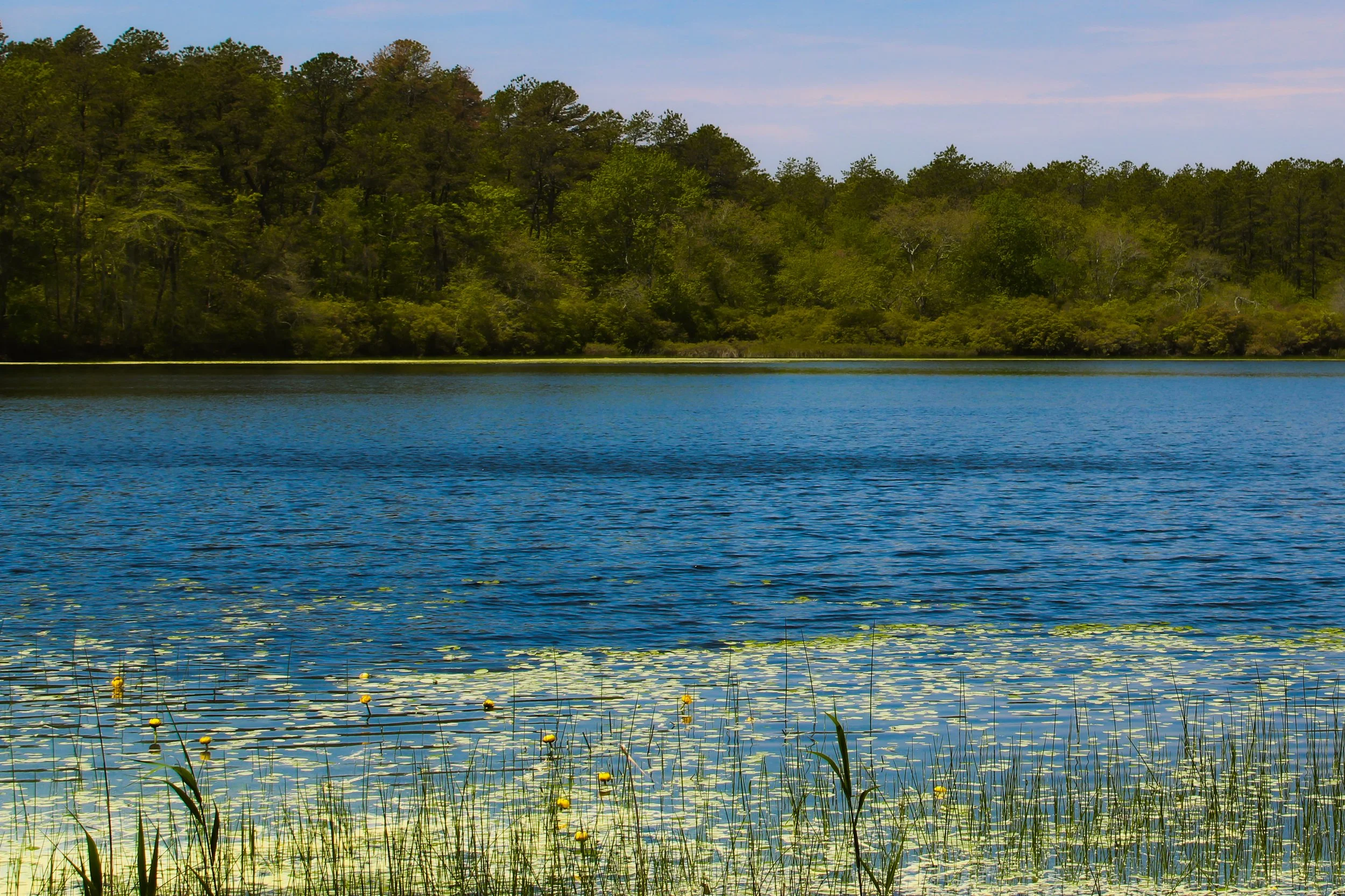 Une Impression de Monet