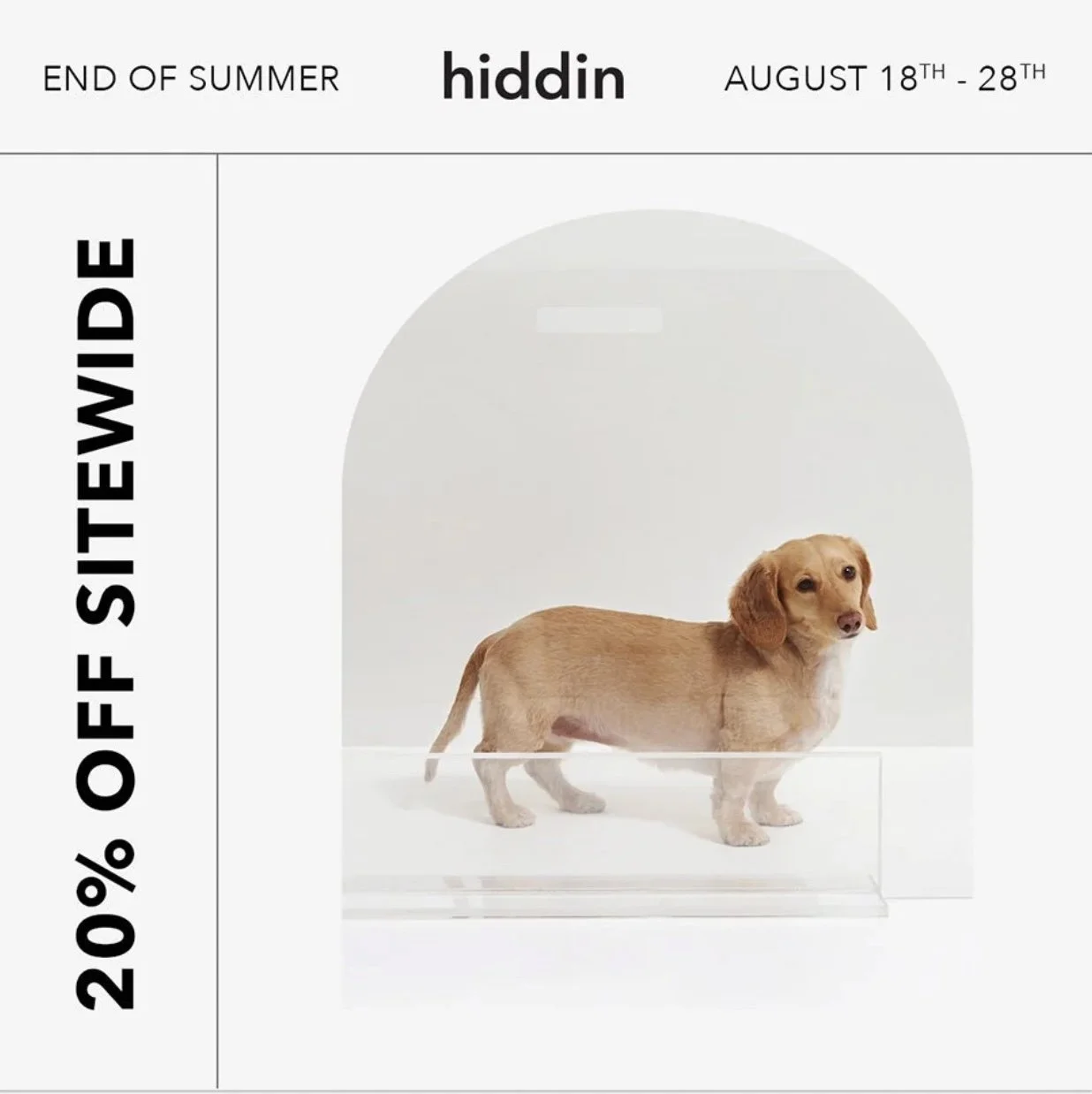 Image 2-16-26 at 7.48 PM.jpeg