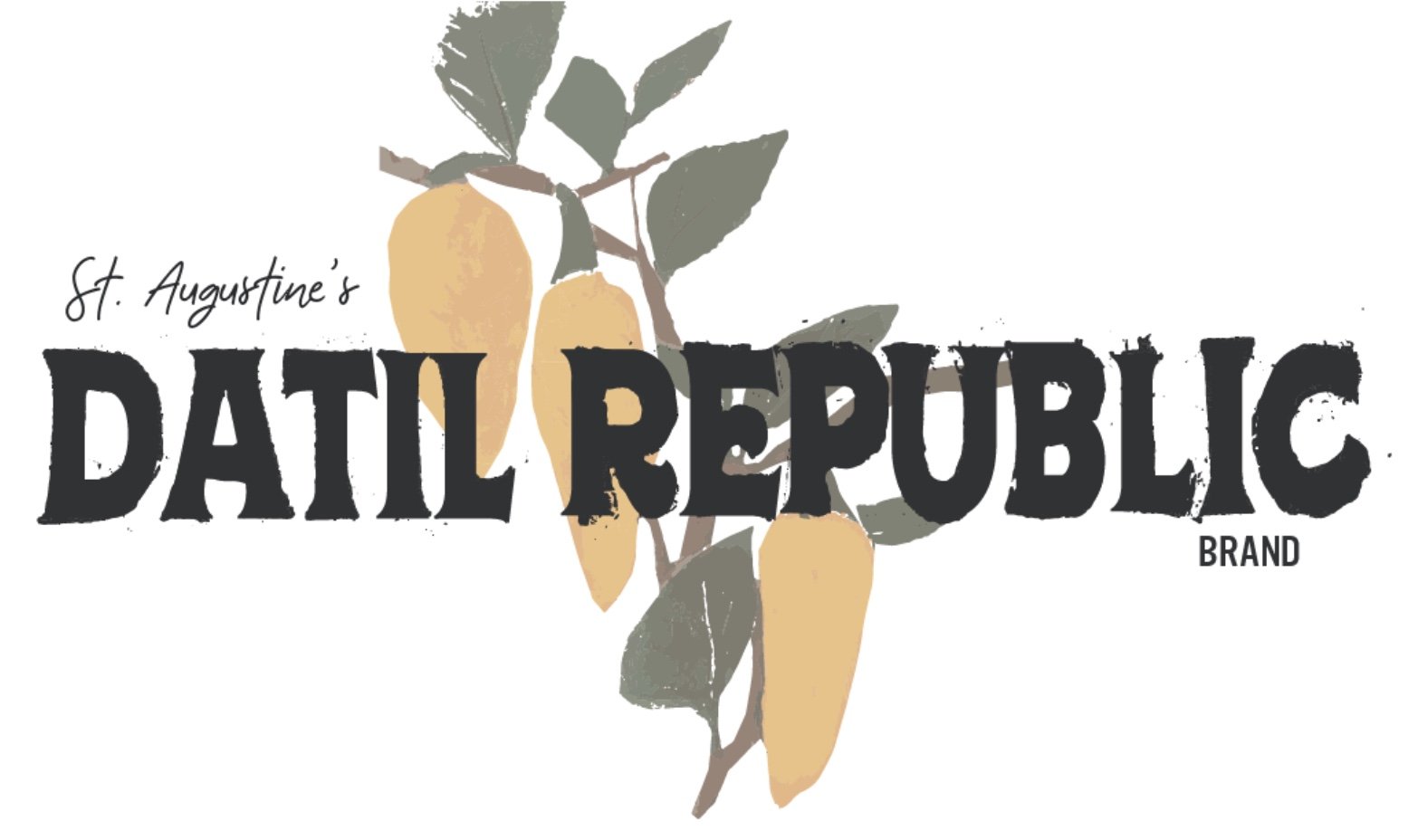 Image 2-16-26 at 7.51 PM.jpeg