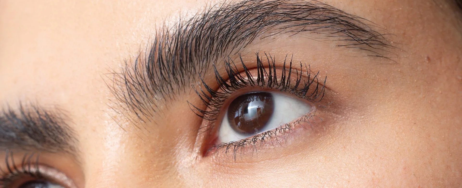 Close-up of a person's eye, showcasing brown irises, black eyelashes, and well-groomed eyebrows.