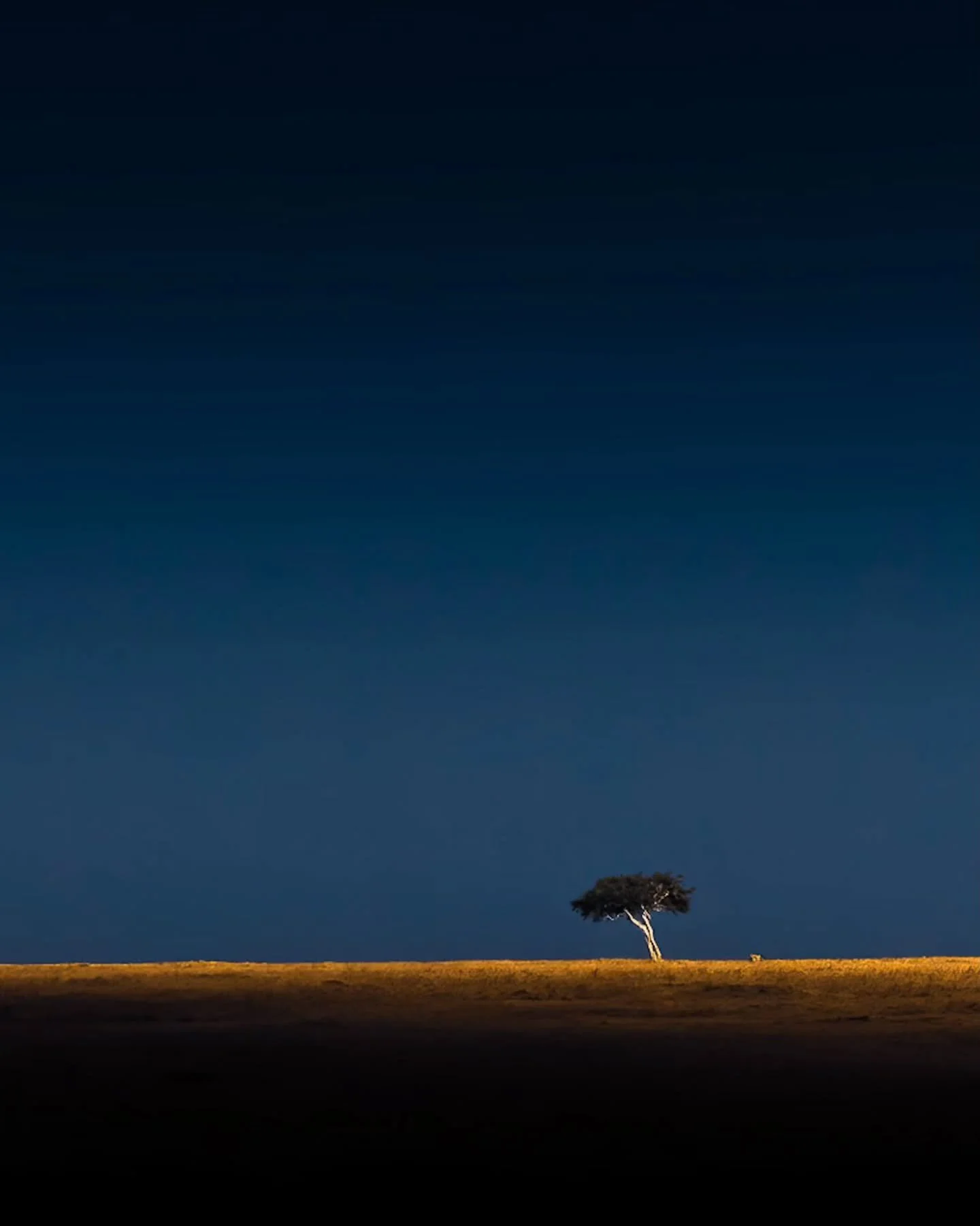 he Pure Minimalist Photography Awards are now open. 

Photo By - @zhayynnjamesphotography

Curators @dimpy.bhalotia &amp; @kamalkumaarrao 

Less in the frame. More in the feeling.

Open to photographers worldwide.
Professional or emerging.
Camera or 