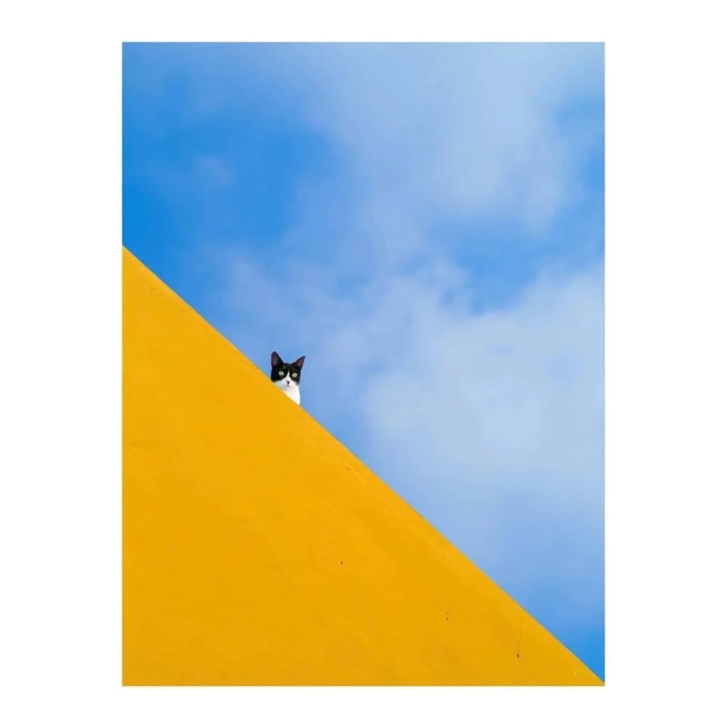 Photo By - @artie_mini_

Curators @dimpy.bhalotia &amp; @kamalkumaarrao 

Less in the frame. More in the feeling.

Open to photographers worldwide.
Professional or emerging.
Camera or smartphone.

ENTER NOW
purephotographyawards.com
Link in bio.

Pho