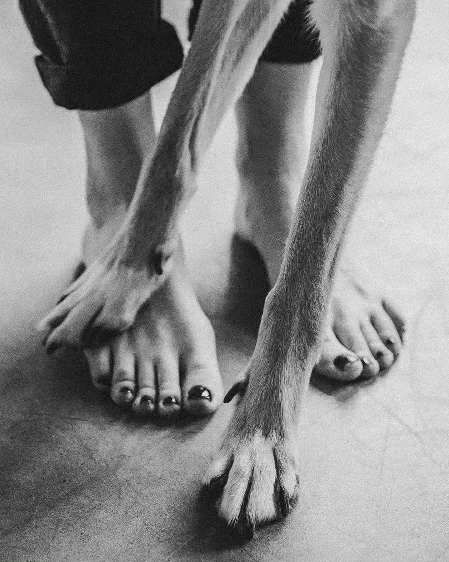 Photo by -  Photo by - Unknown 

Your camera roll is full of them anyway 🐾😂

The weird ones.
The dramatic ones.
The what on earth are you doing? ones.
And the ones that somehow turned out ridiculously good. 

Pure Dog &amp; Cat Photography Awards i