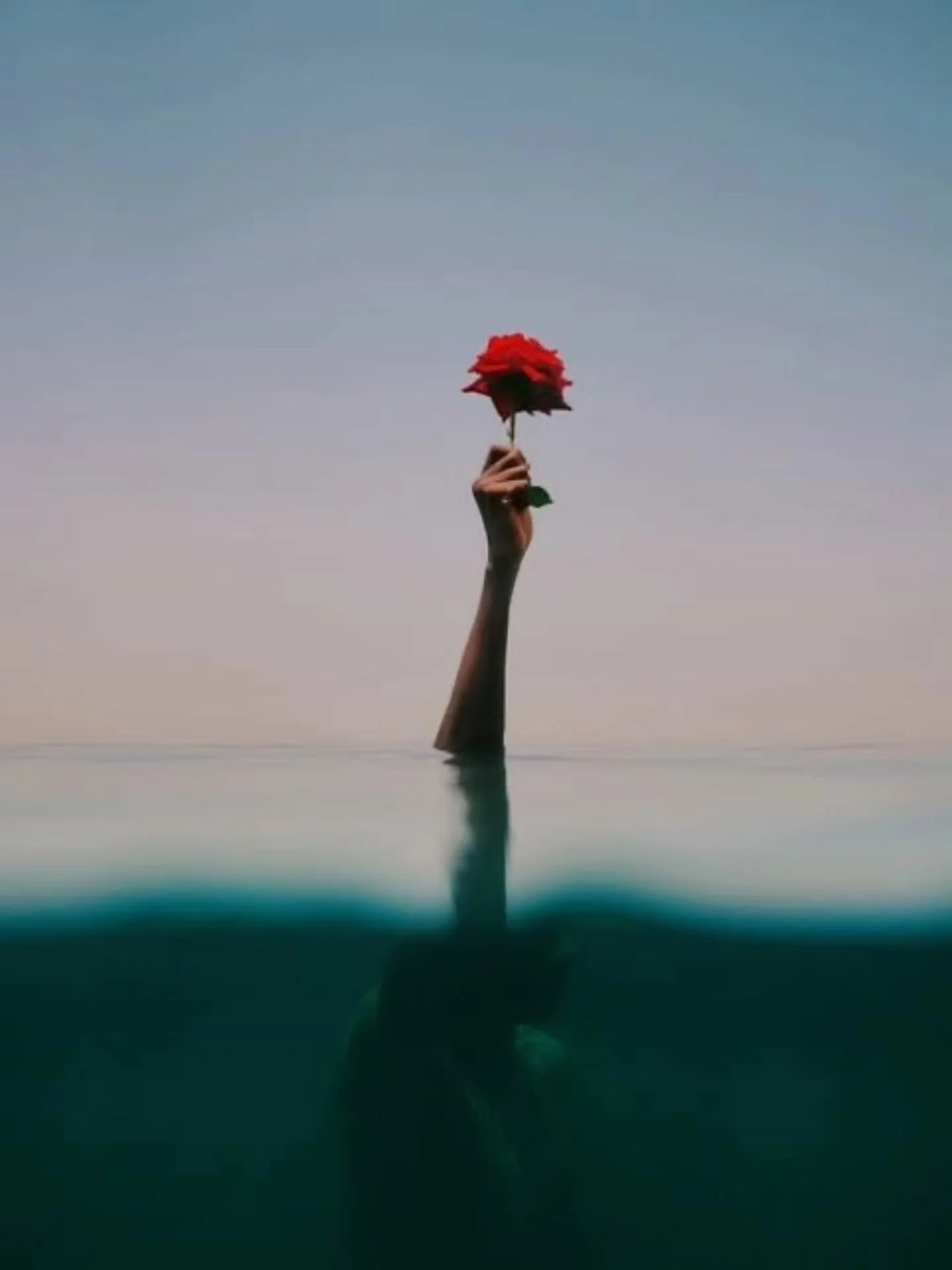 𝗦𝗵𝗮𝗿𝗲 𝘄𝗶𝘁𝗵 𝘆𝗼𝘂𝗿 𝗹𝗼𝘃𝗲𝗱 𝗼𝗻𝗲𝘀❤️

Minimalist Photography by -  @mouslamrabat

Curated by  @kamalkumaarrao

Celebrating exceptional minimalist photography from around the world.

www.purephotographyawards.com

#PureMinimalistPhotogra
