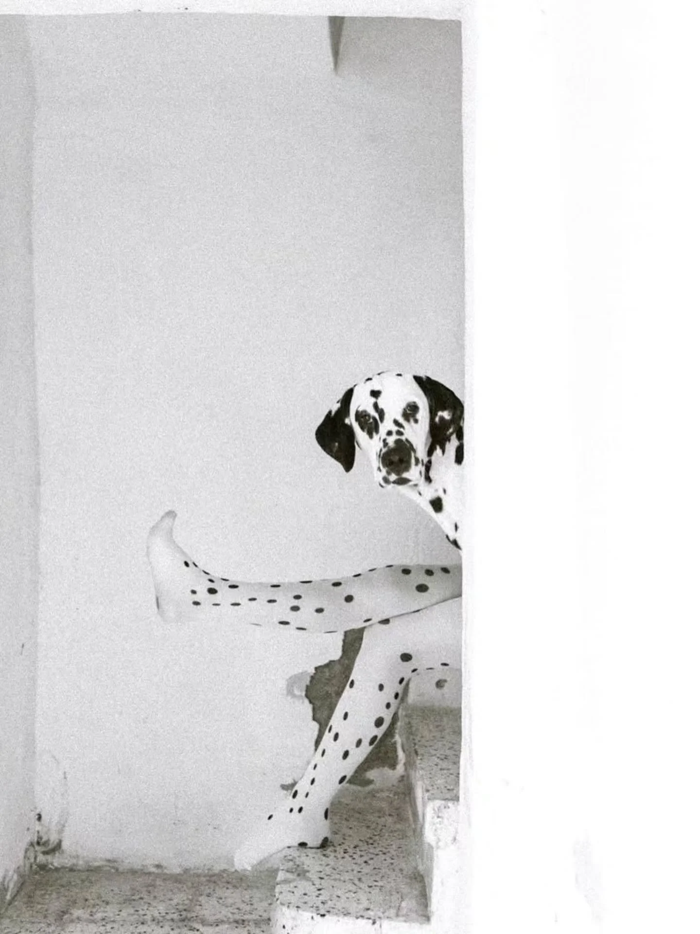 Minimalist Photography by -  @olivalclauca

Curated by  @kamalkumaarrao

Celebrating exceptional minimalist photography from around the world.

www.purephotographyawards.com

#PureMinimalistPhotographyAwards PurePhotographyAwards PureMinimalistPhotog