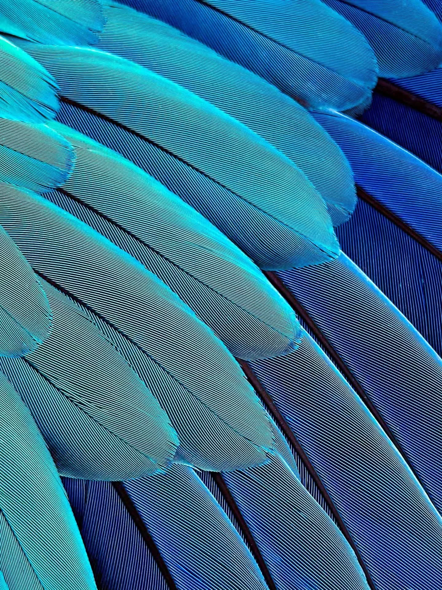 Photo by - Thomas Block

Curated by @dimpy.bhalotia &amp; @kamalkumaarrao

Celebrating exceptional macro and close-up photography from around the world.

www.purephotographyawards.com

#PureMacroAndCloseUpPhotographyAwards #PurePhotographyAwards #Pur