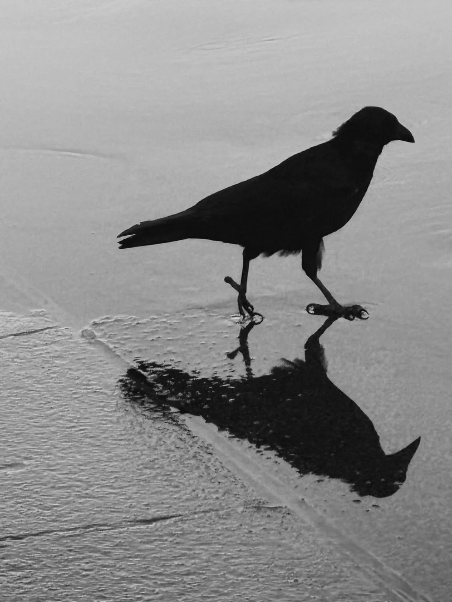 Minimalist Photography by - @bat.on.the.moon

Curated by  @kamalkumaarrao

Celebrating exceptional minimalist photography from around the world.

www.purephotographyawards.com

#PureMinimalistPhotographyAwards PurePhotographyAwards PureMinimalistPhot
