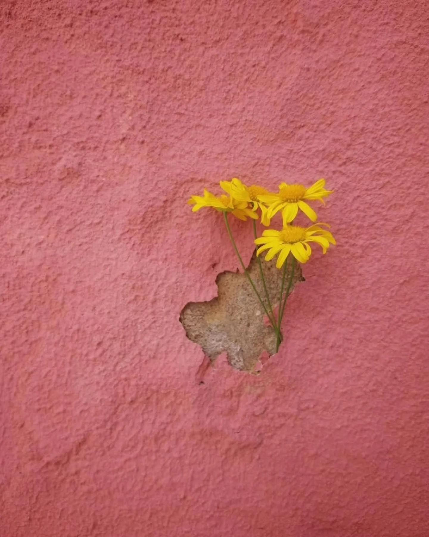 Minimalist Photography by - Teresa Fonseca

Curated by  @kamalkumaarrao

Celebrating exceptional minimalist photography from around the world.

www.purephotographyawards.com

#PureMinimalistPhotographyAwards PurePhotographyAwards PureMinimalistPhotog