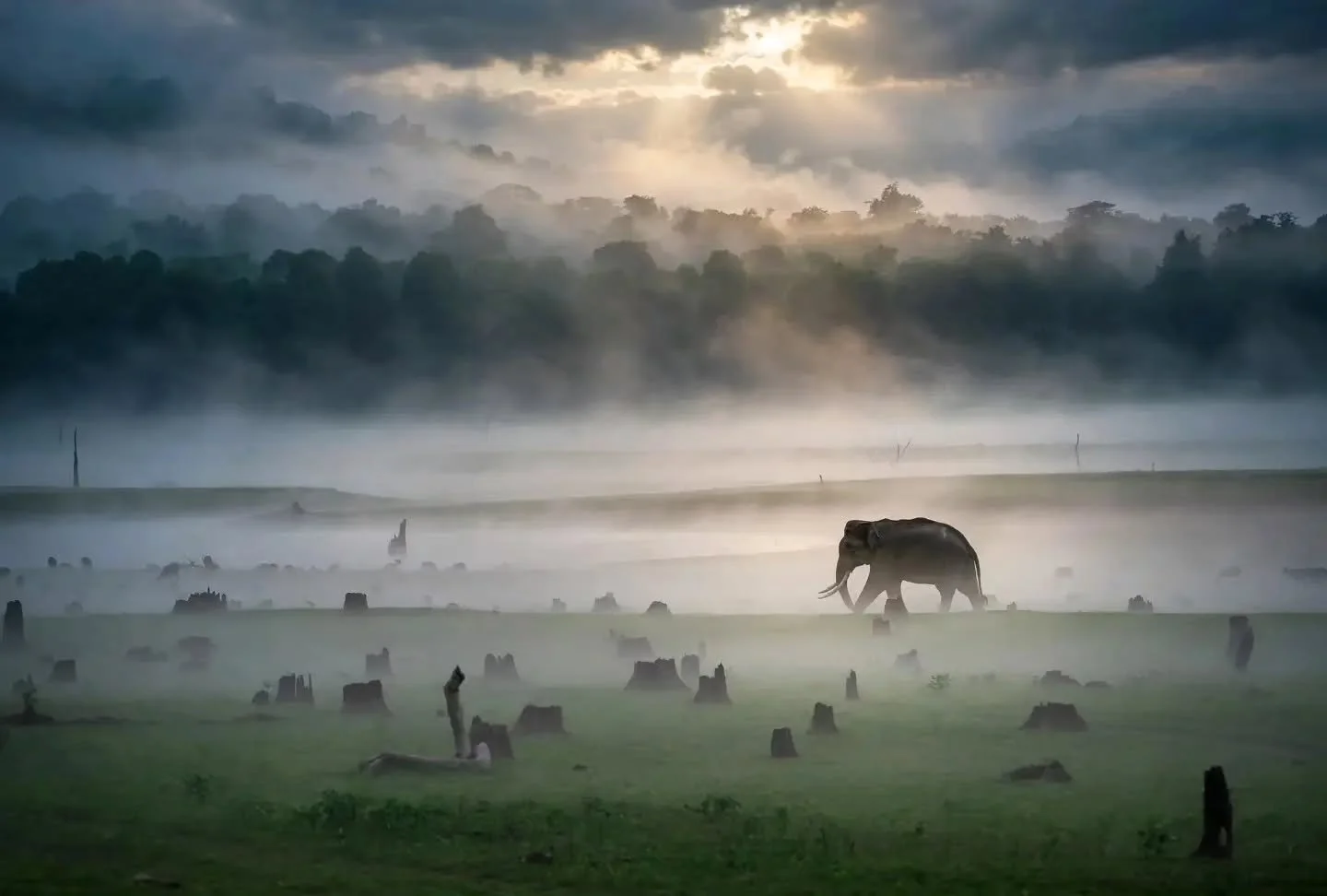 Photography by -  @wildmythography

Curated by @dimpy.bhalotia &amp; @kamalkumaarrao

Celebrating exceptional travel photography from around the world.

www.purephotographyawards.com 

PureTravelPhotographyAwards PurePhotographyAwards PureTravelPhoto