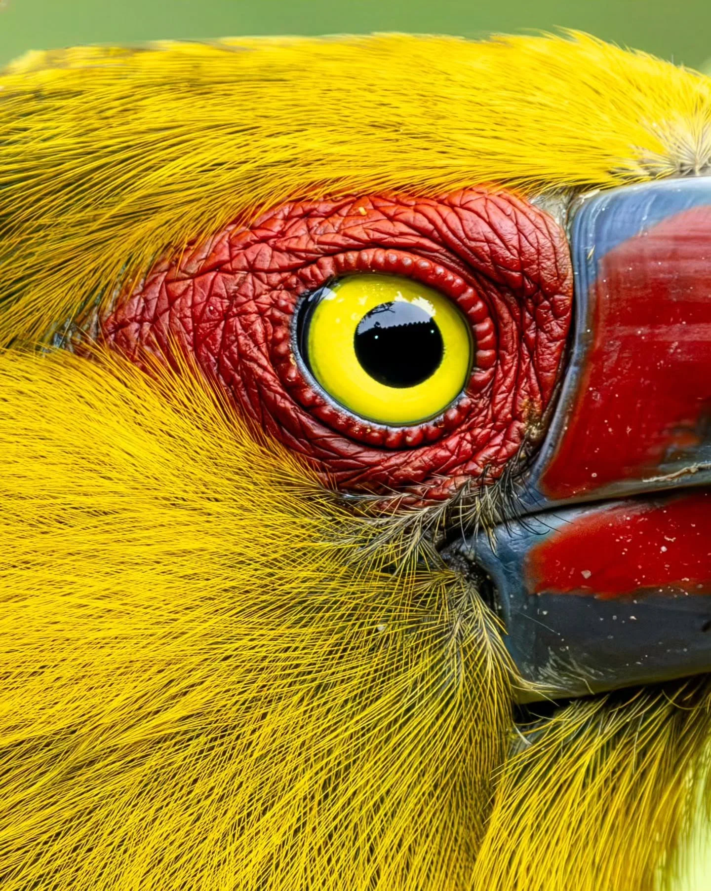 Photo by -  @samiamunaretti

Curated by @dimpy.bhalotia &amp; @kamalkumaarrao

Celebrating exceptional macro and close-up photography from around the world.

www.purephotographyawards.com

#PureMacroAndCloseUpPhotographyAwards #PurePhotographyAwards 
