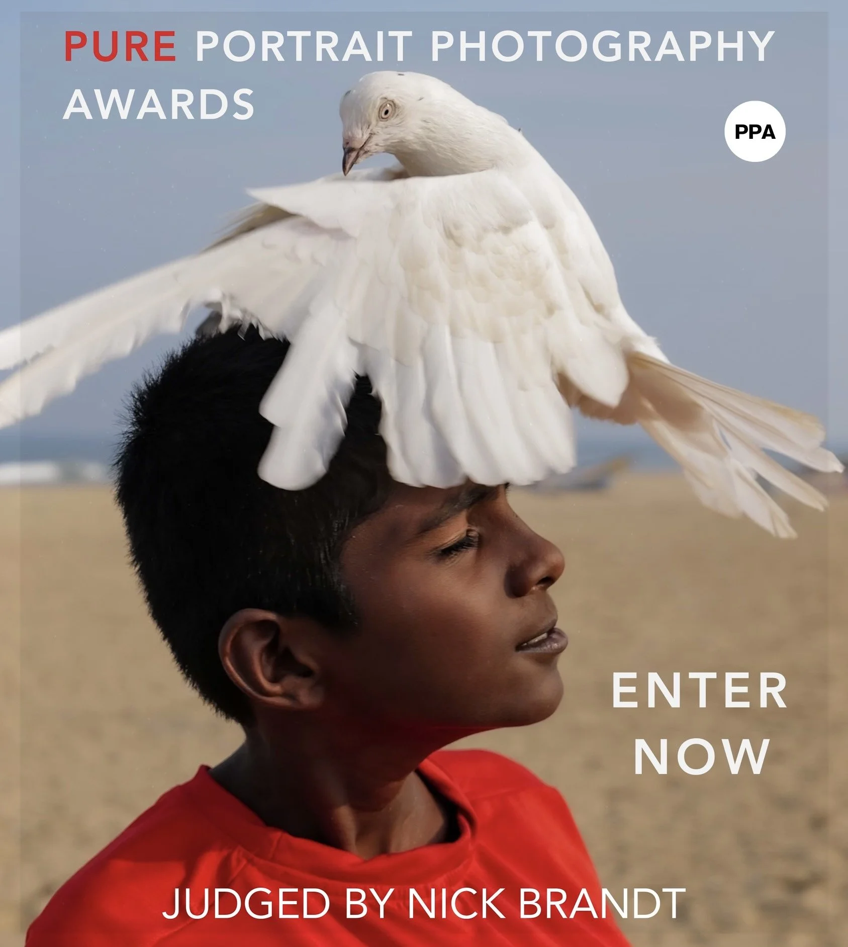 A young boy in a red shirt with a white bird perched on his head, with the bird's wings partially spread. The background is blurred and appears to be an outdoor setting. The image contains text about a photography awards contest, including phrases like "Pure Portrait Photography Awards," "Enter Now," and "Judged by Nick Brand."