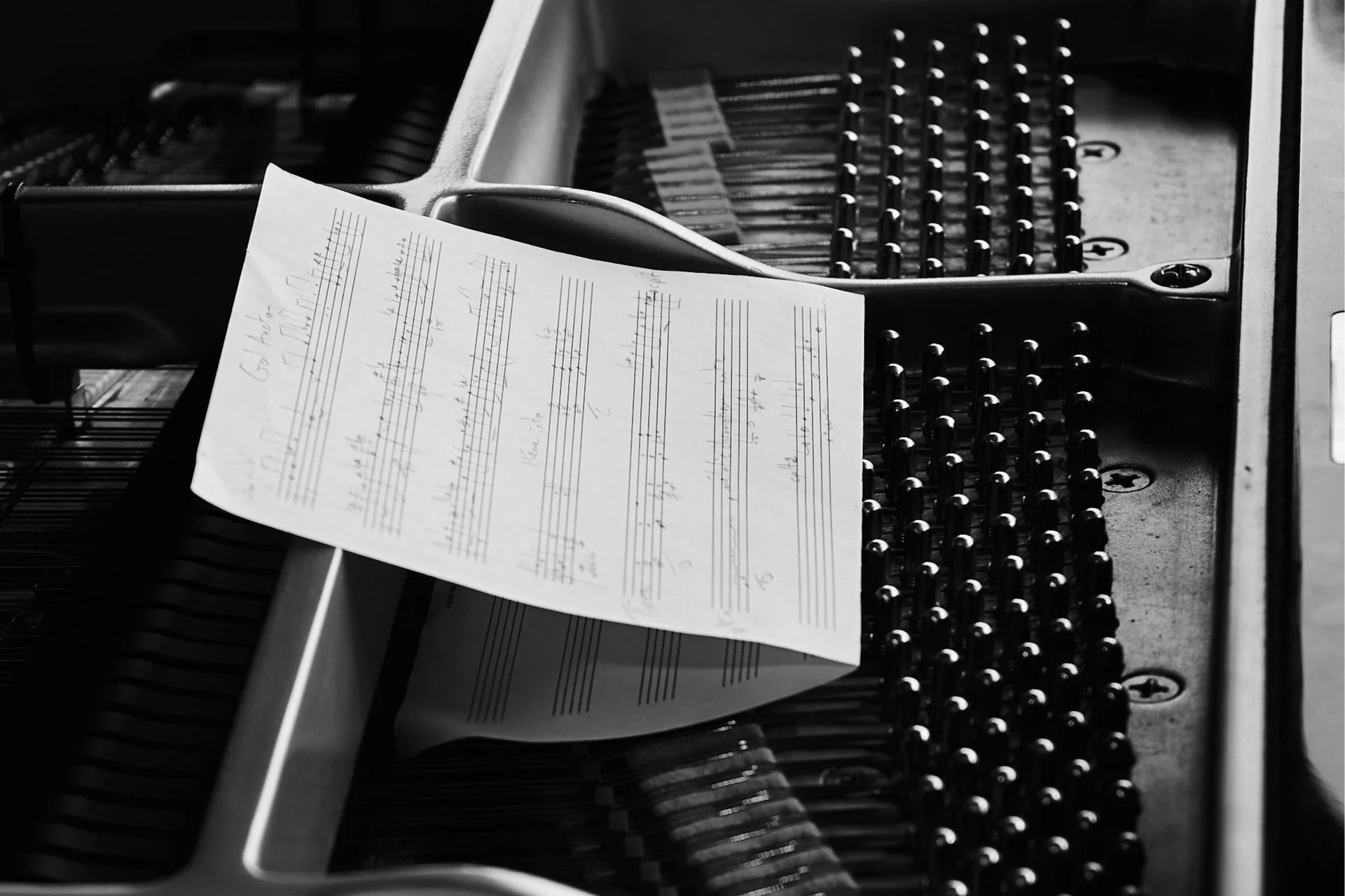 Brussels_Jazz_20.jpg