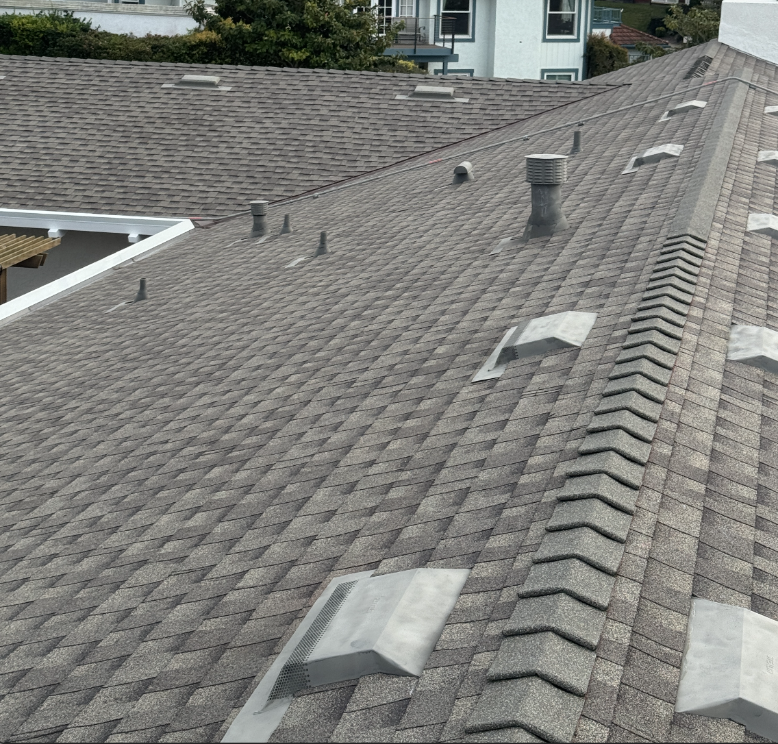 Close-up of a residential roof with asphalt shingles, vent pipes, and roof vents visible, neighboring houses and trees in the background.