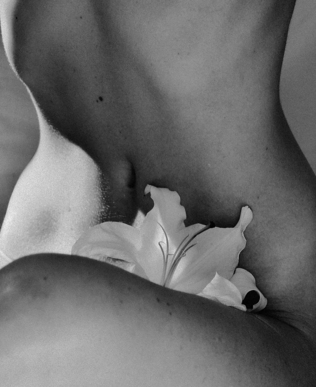 Close-up black and white photograph of a person's torso and lower face, with a flower placed near the neck and chin area.