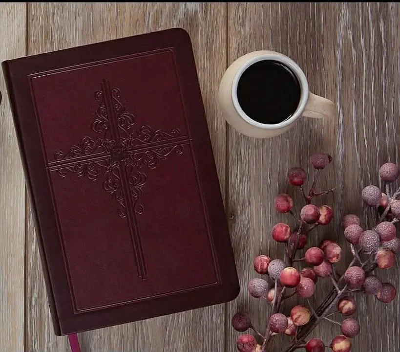 The Passion Translation Giant Print Compact Burgundy