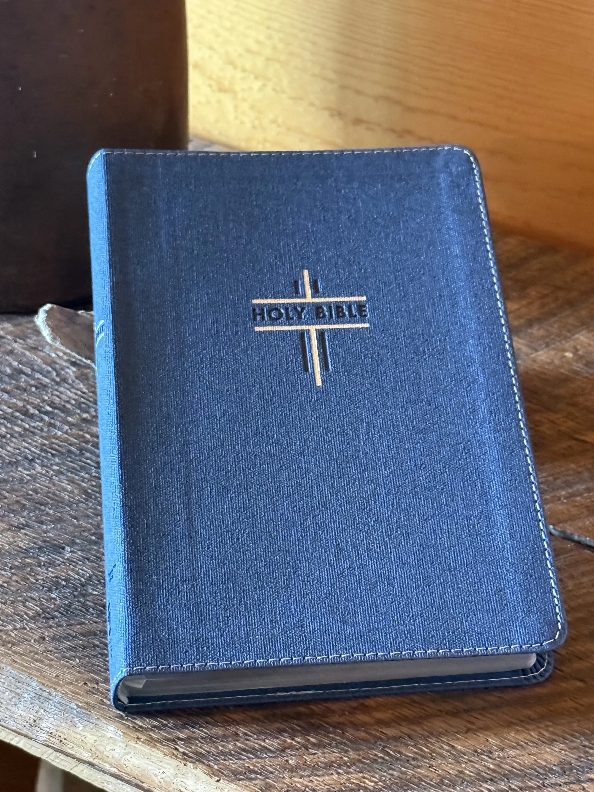 NIV Bible for Teens~Thinline