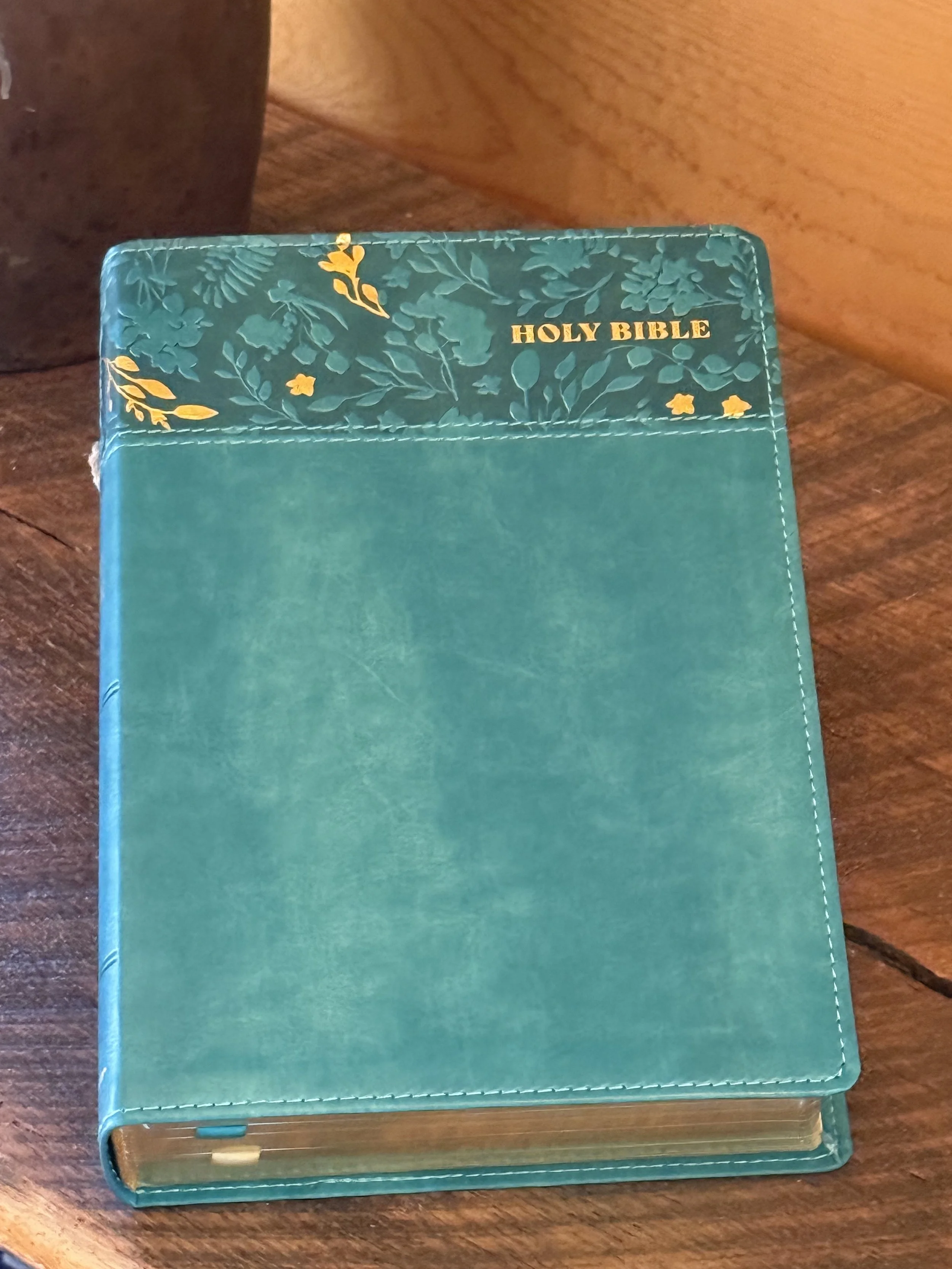 NASB  Large Print~Personal Size Bible