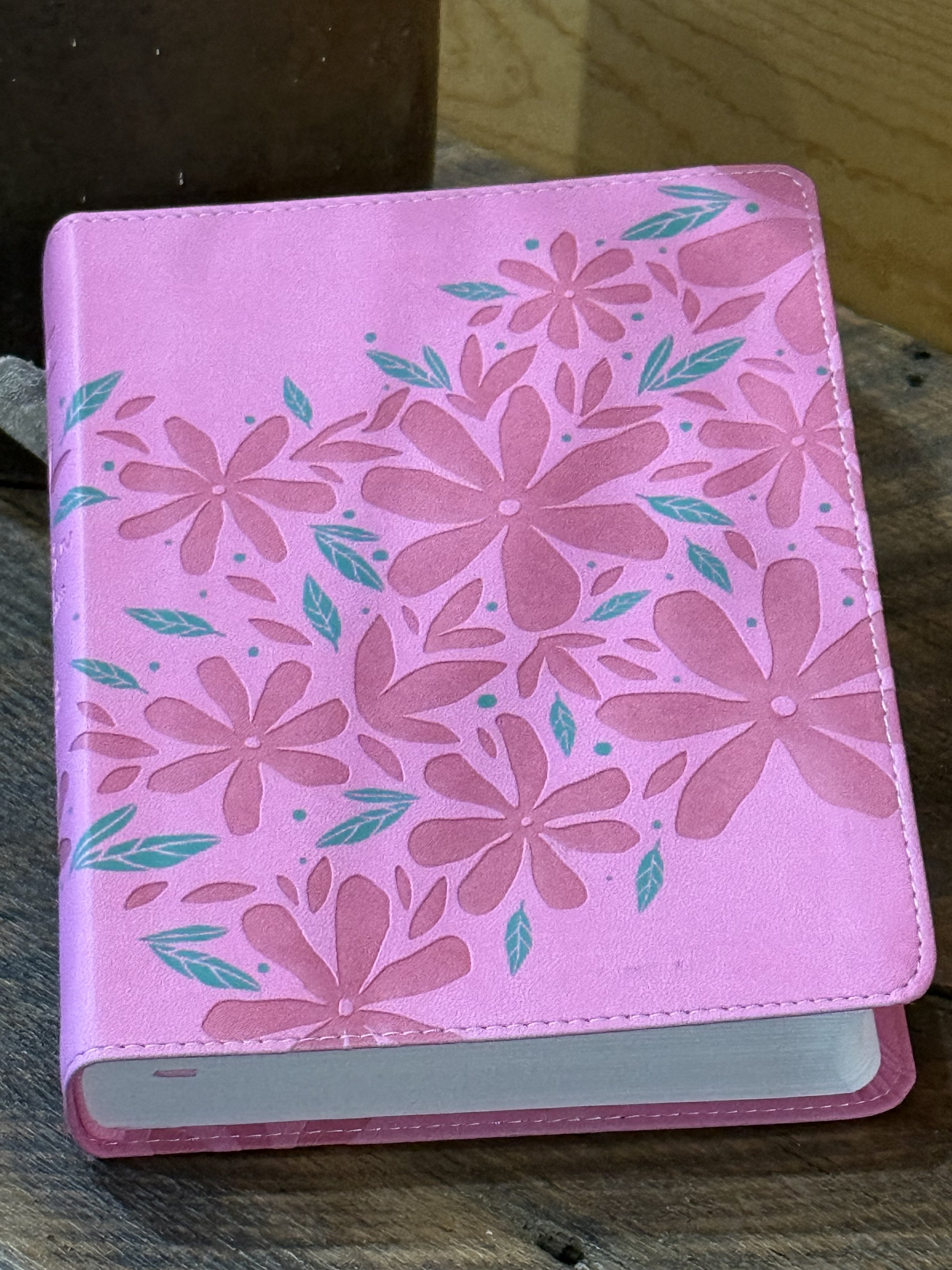 The Barbour Simplified KJV Bible For Teen Girls~Devotion Edition