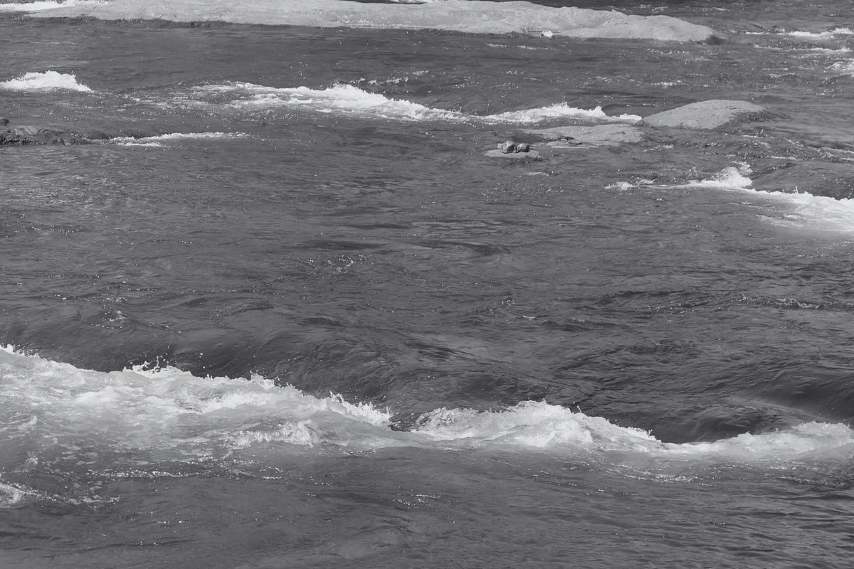 How does movement affect our fascia connections and can the Pilates Method create lasting impact?&nbsp;