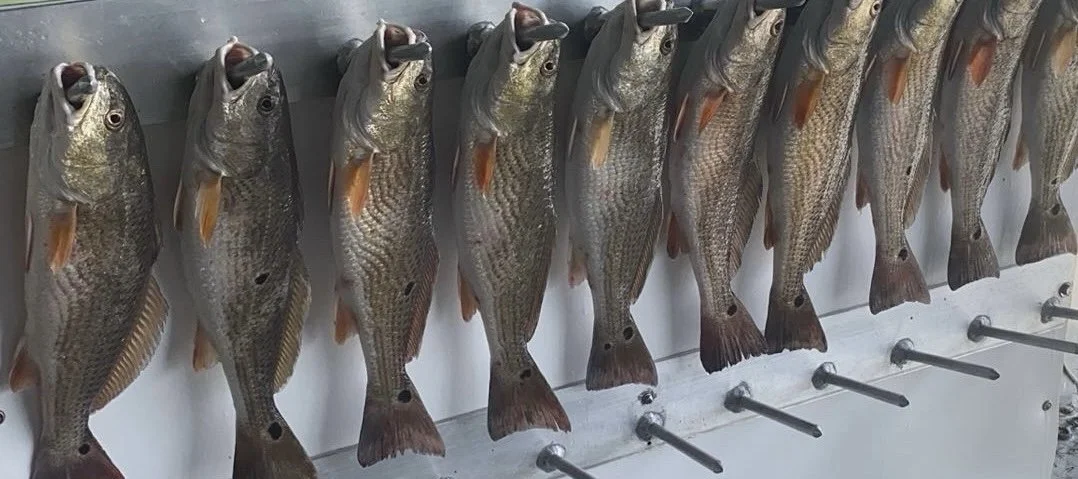 Sunrise to Sunset Inshore Experience (Full Day Split Trip)