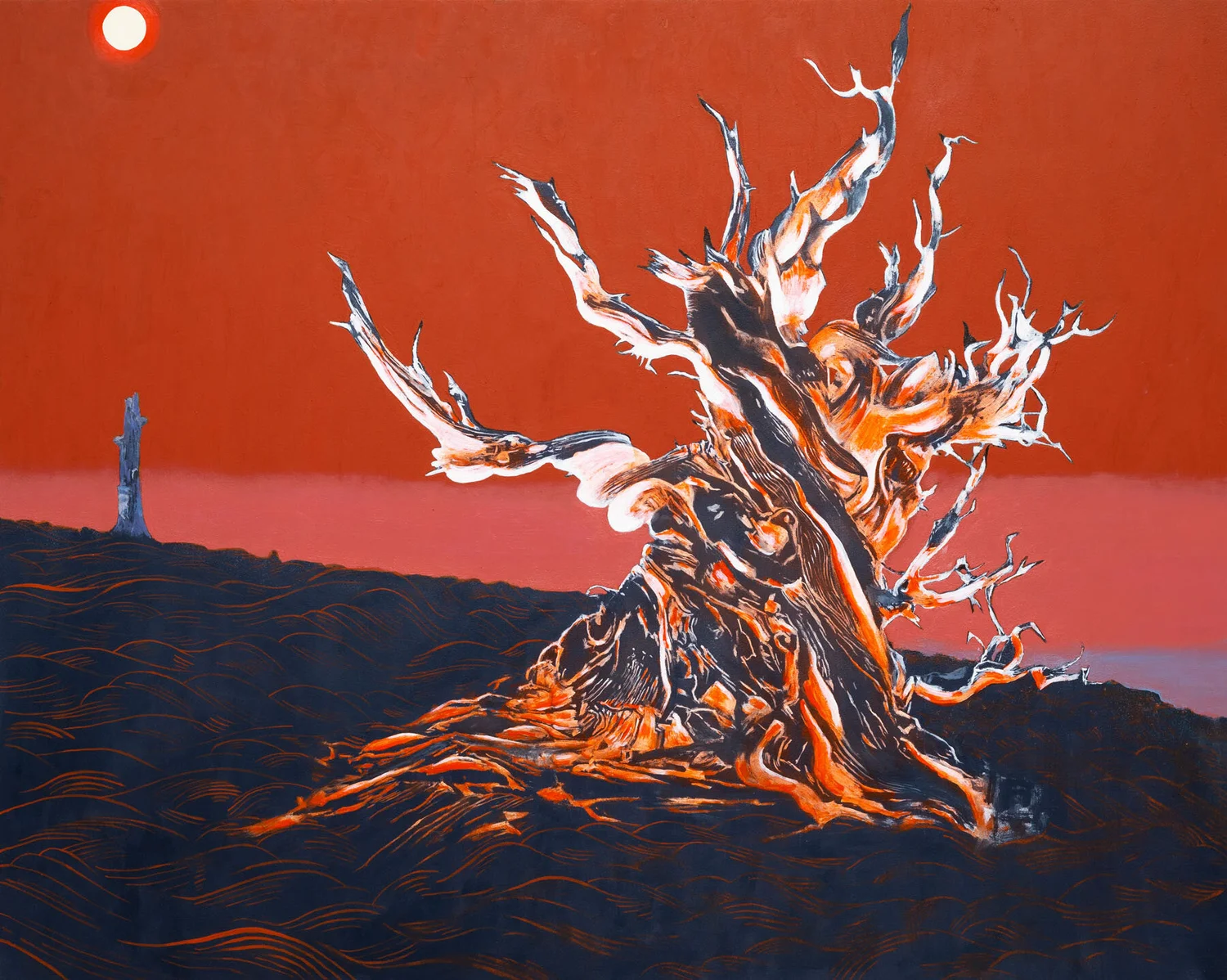 MONUMENT, BRISTLE CONE, oil on panel, 24 x 30"