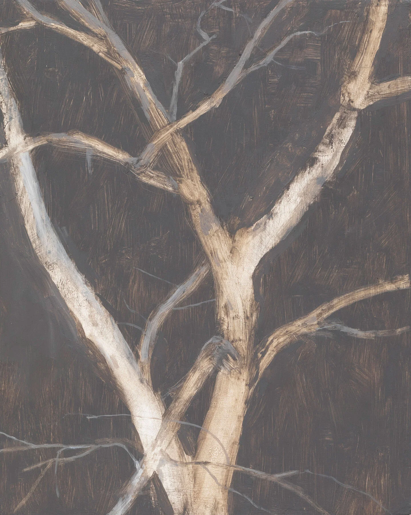 STUDIO TREE, oil on panel, 10 x 8"
