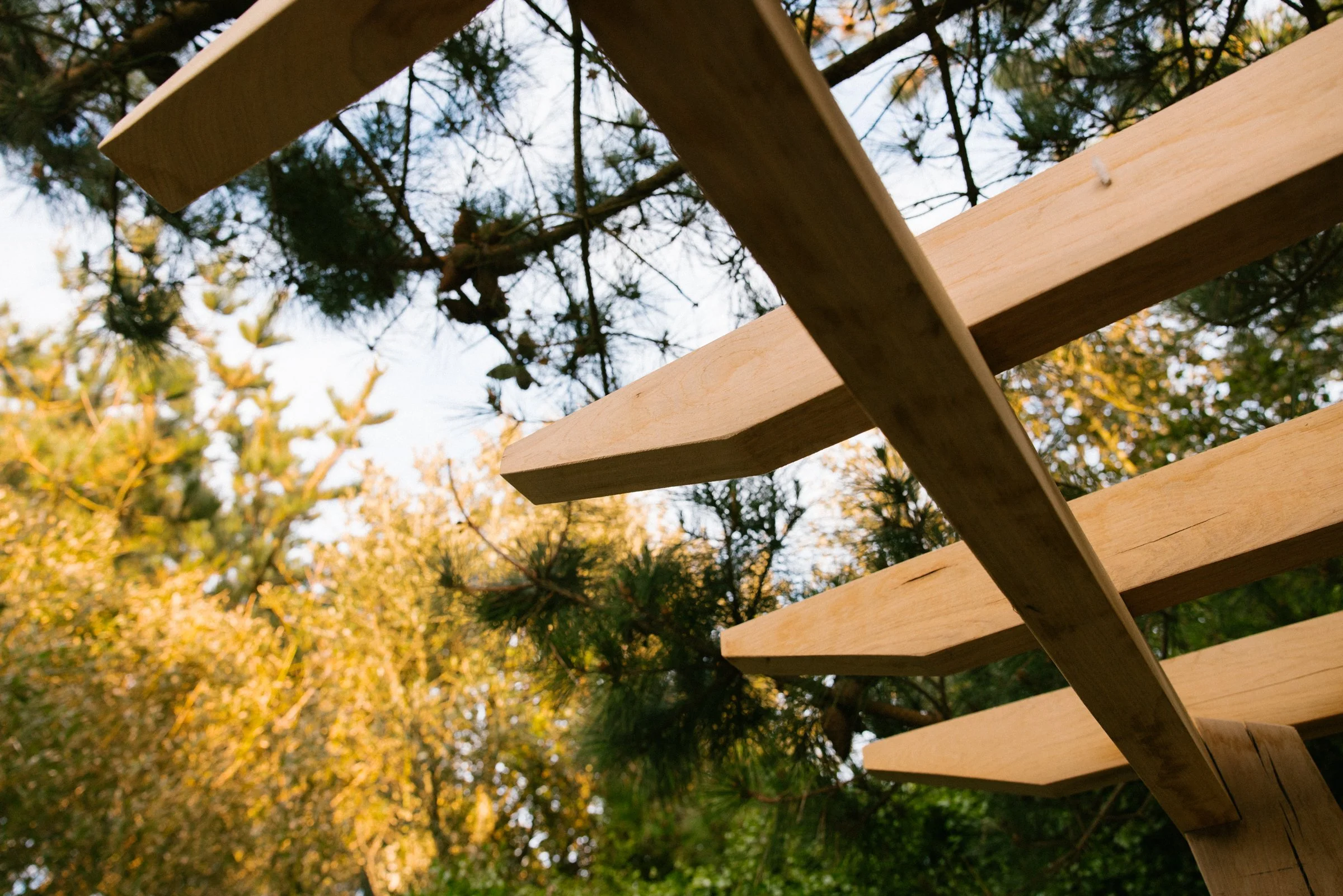 Close-up of a wooden fence slat with trees and sky in the background during autumn.
