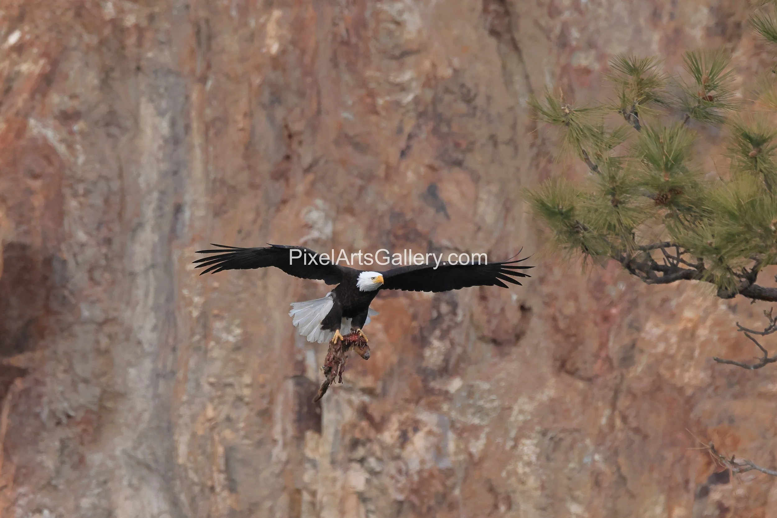 Food is delivered multiple times a day