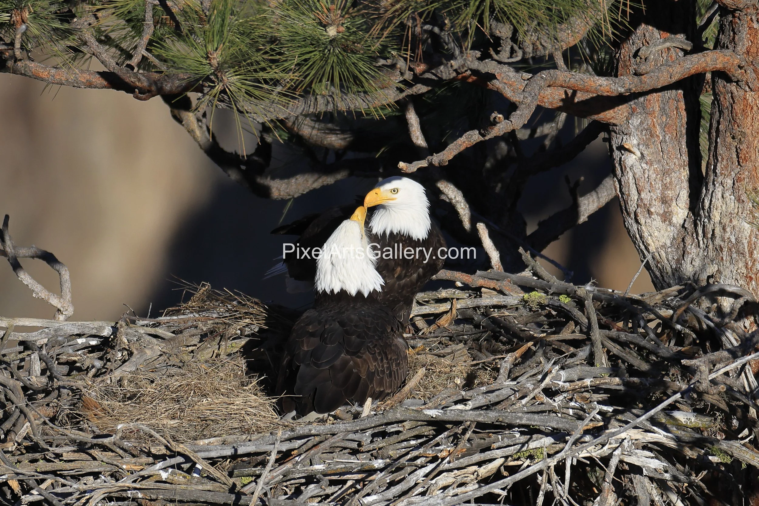 Spending more time together