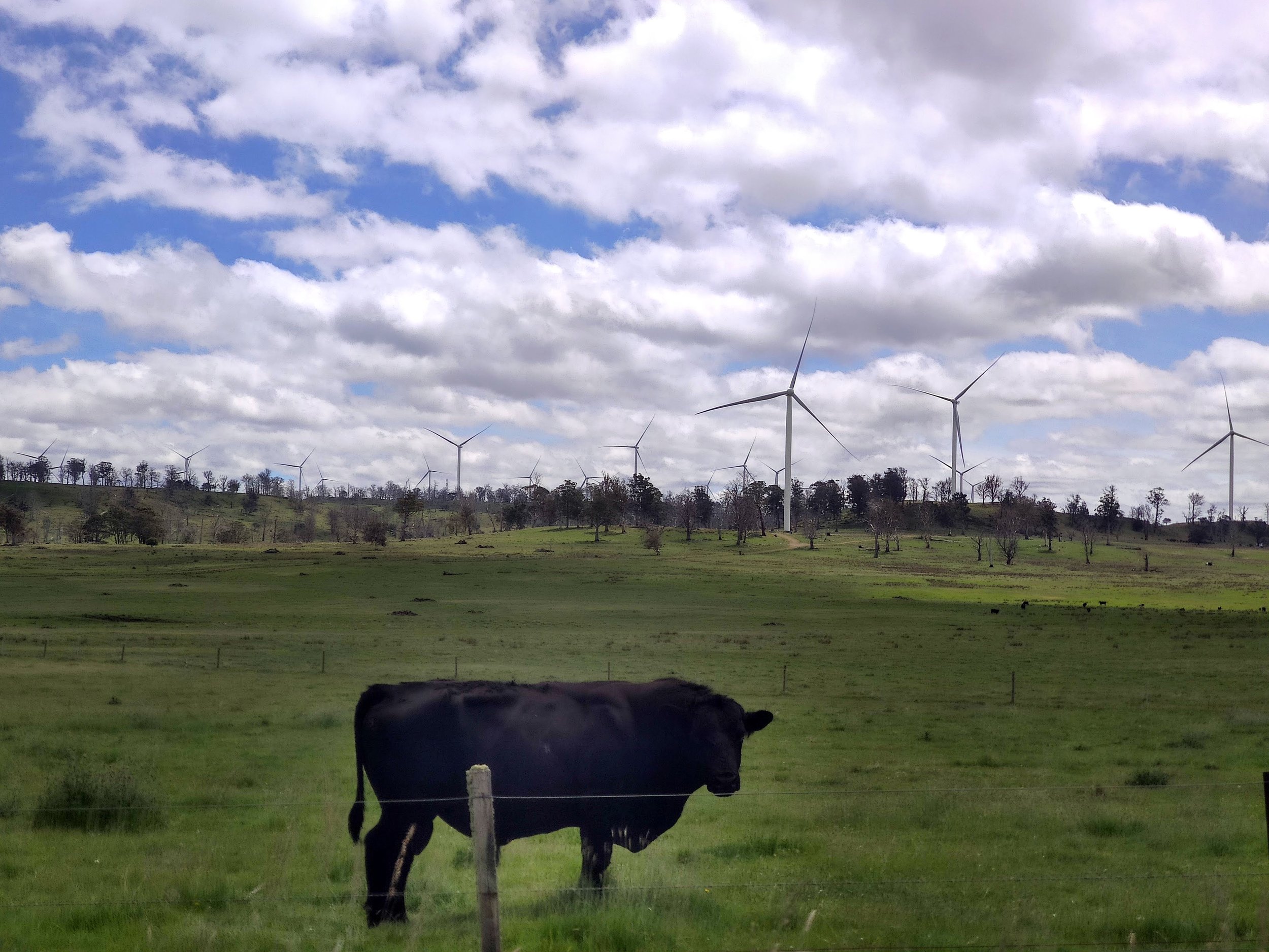 Genuine Community Engagement for Transmission in Australia