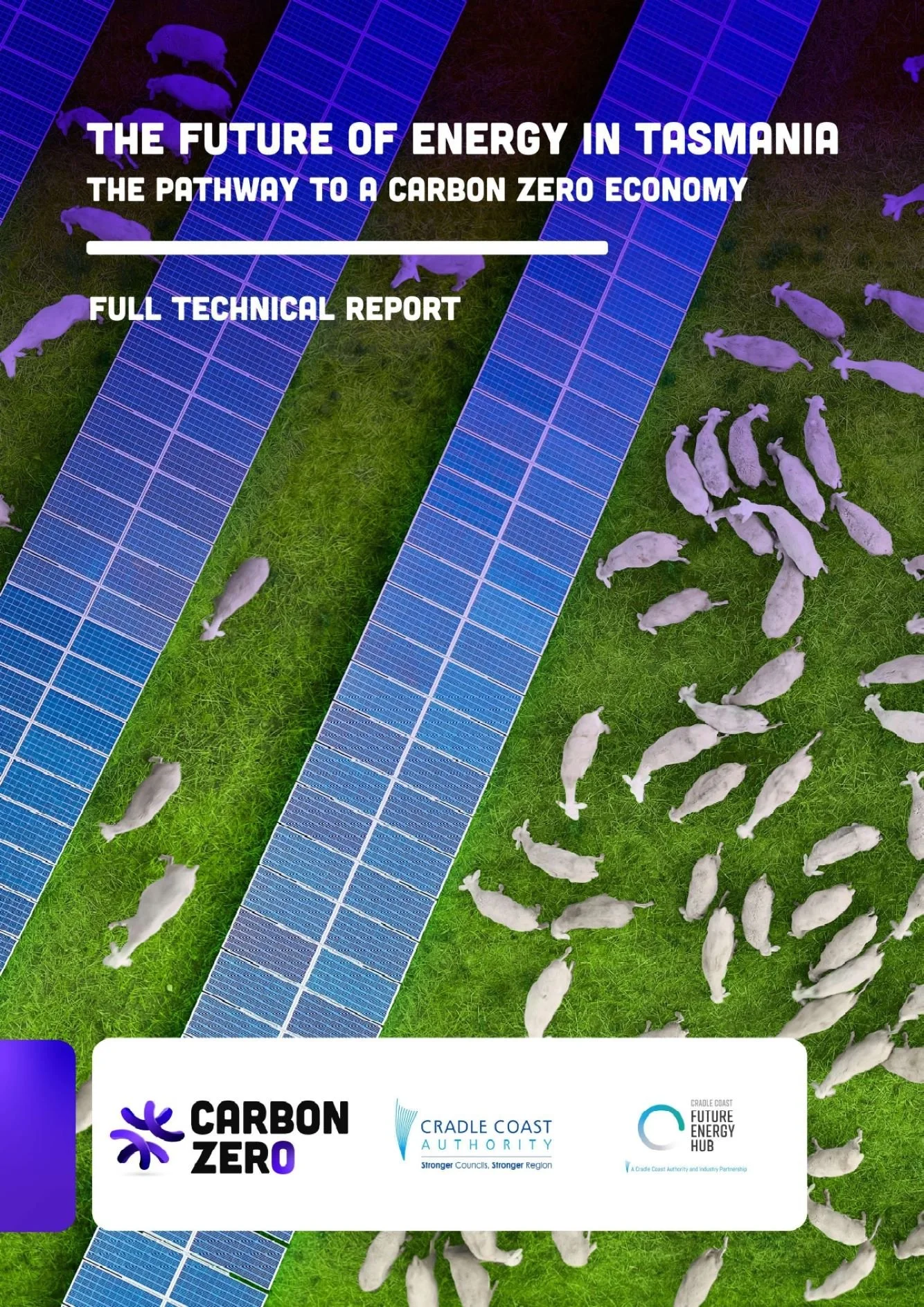 Report Release: Carbon Zero and Future Energy Hub