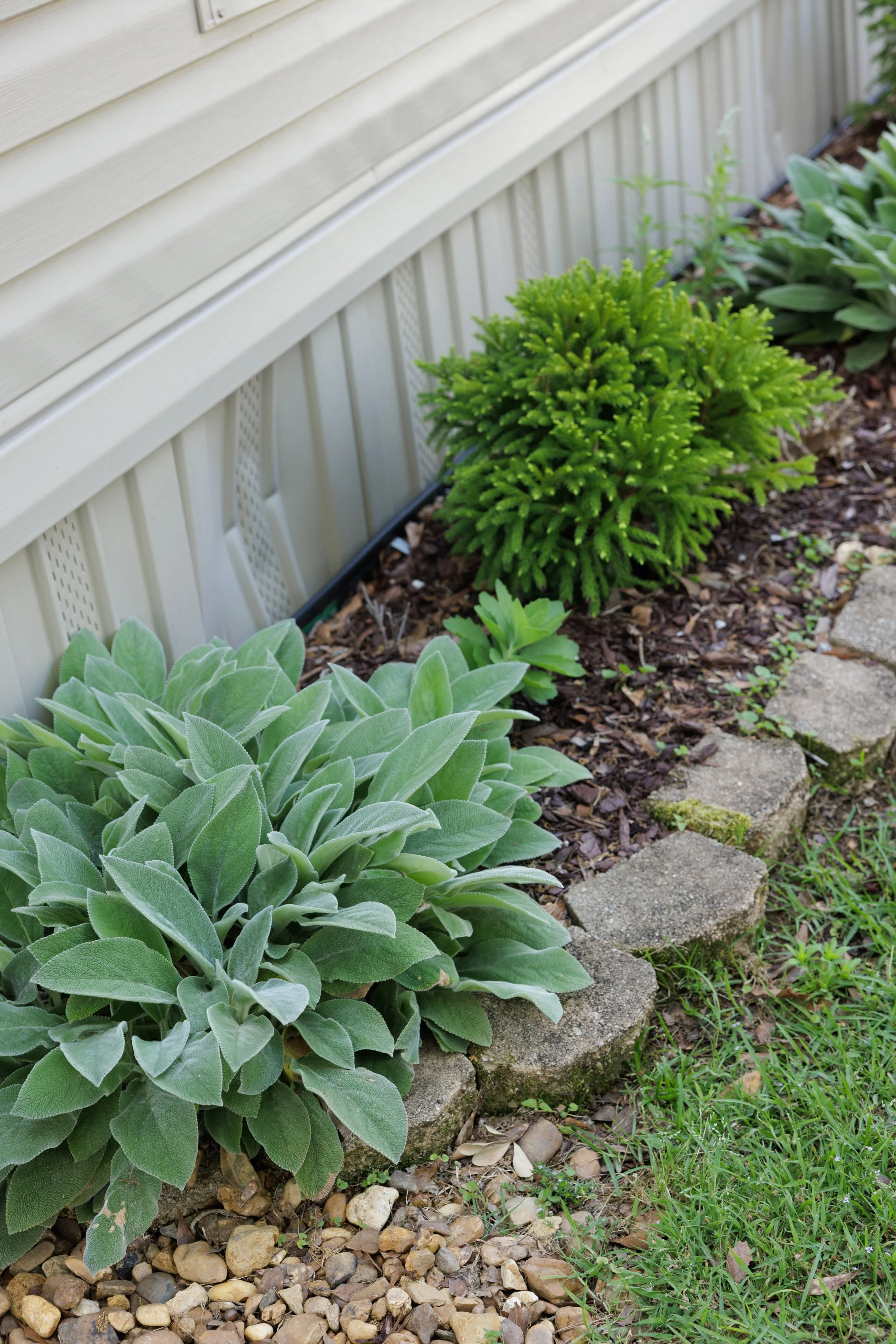 Close-up of a garden area with green plants and low stone border along the edge of a house with beige vinyl siding.