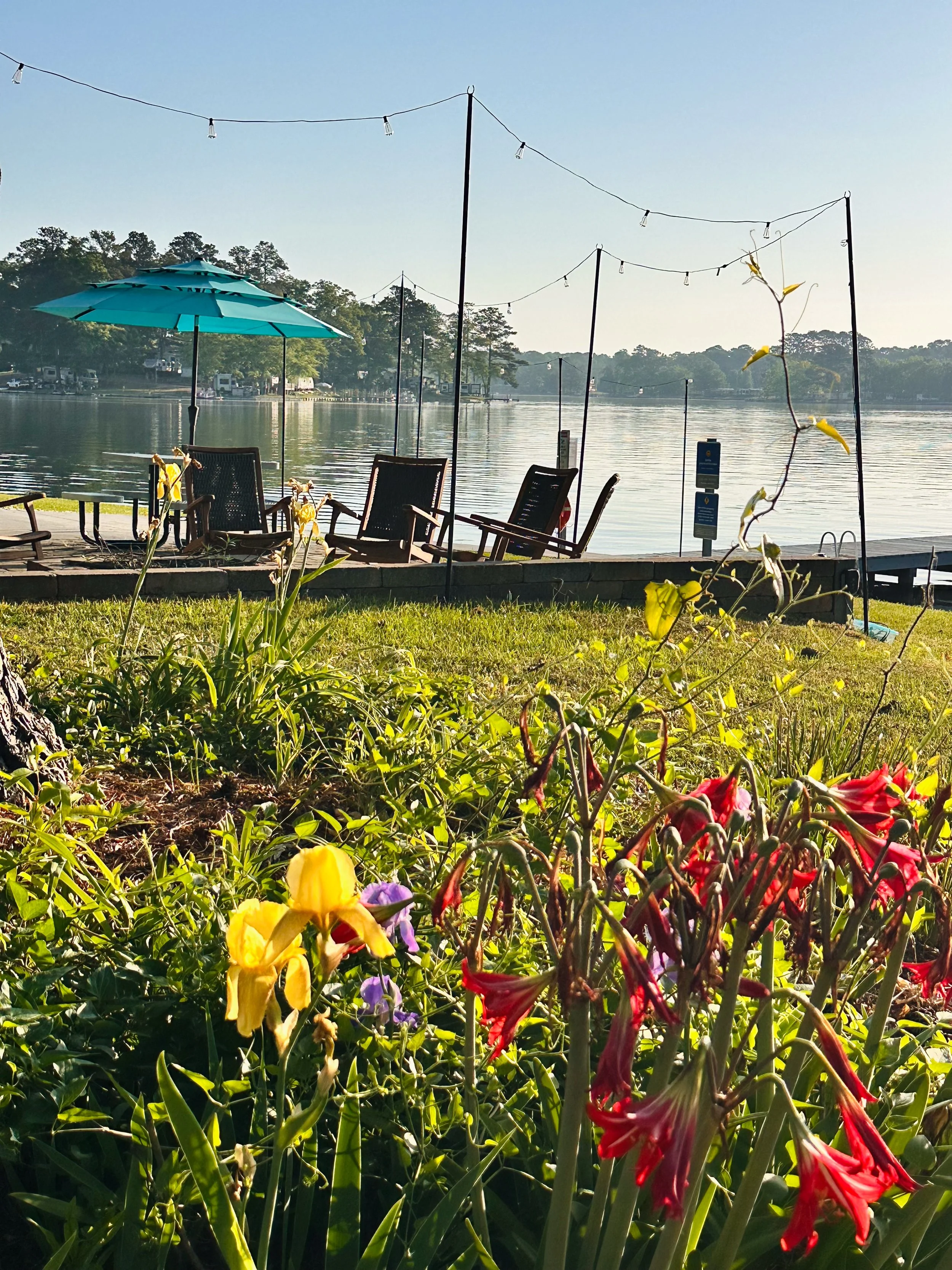 Flowers and plants in the foreground with a view of a lake and trees in the background, outdoor seating area with chairs, umbrellas, and string lights, calm water reflecting sunlight on a clear day.
