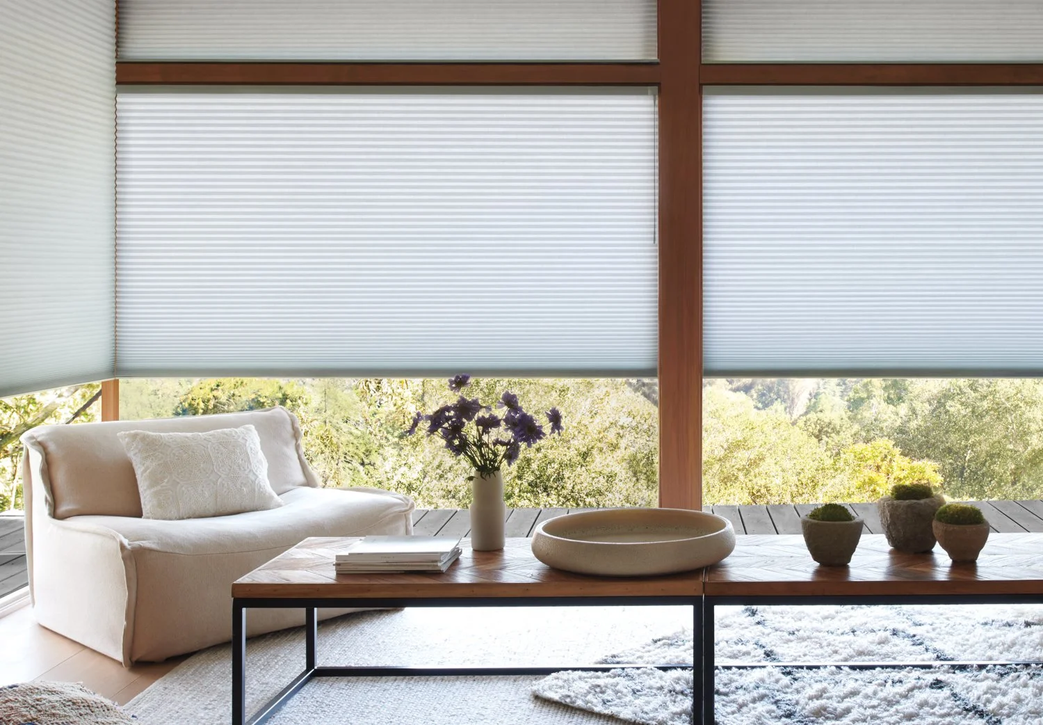 Nicholls Interiors - Duette Blinds-02.jpg