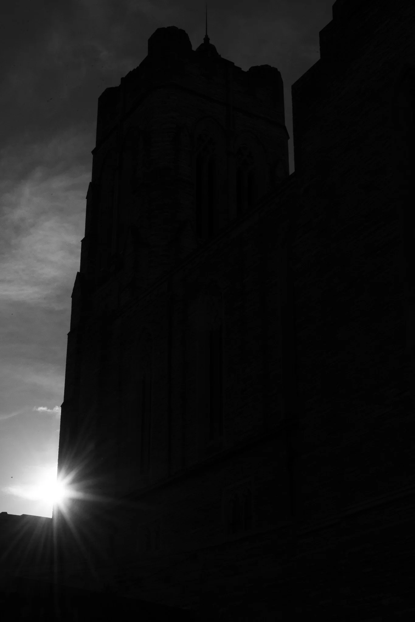 DSC02100.jpg