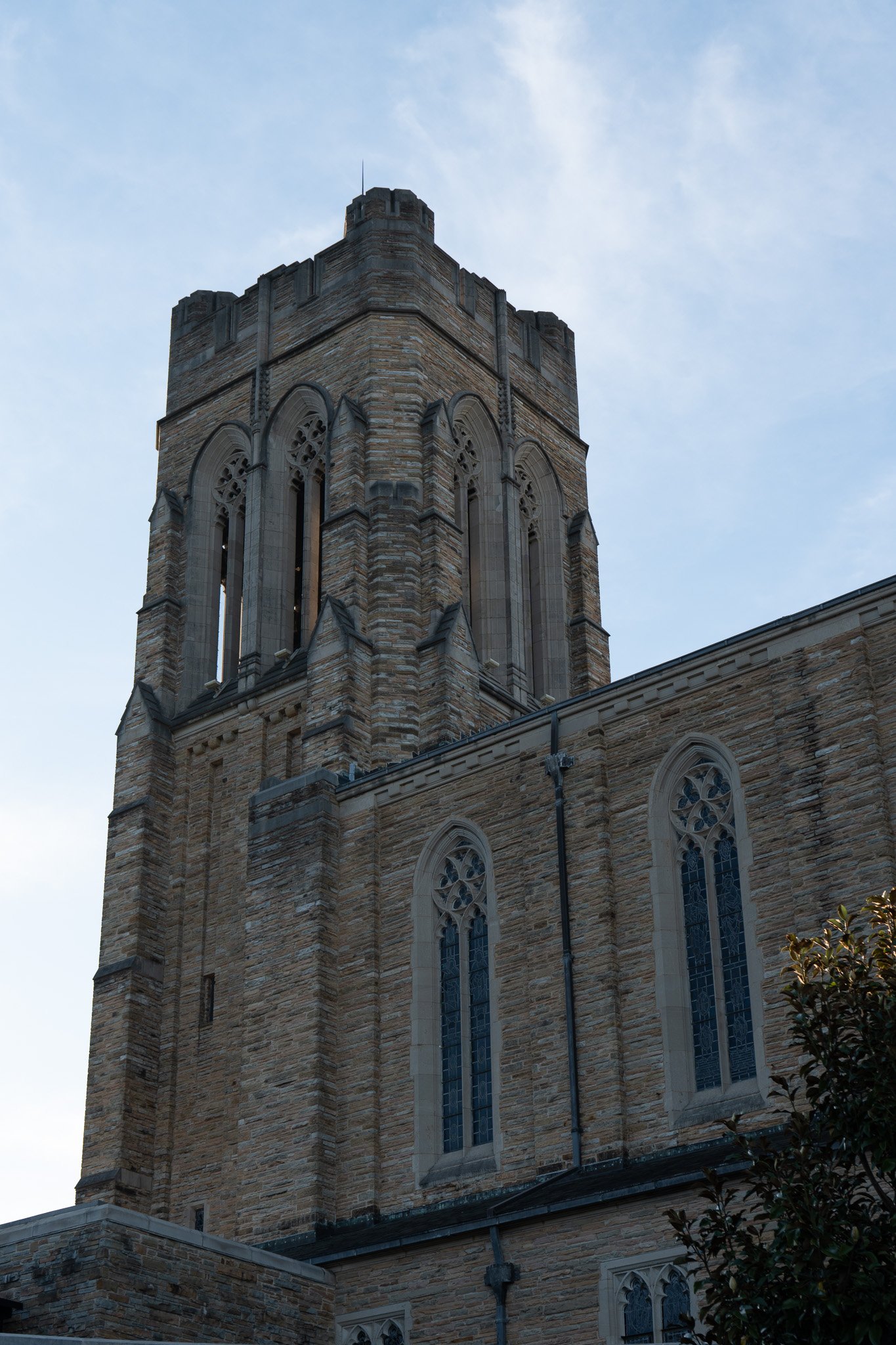 DSC02062.jpg